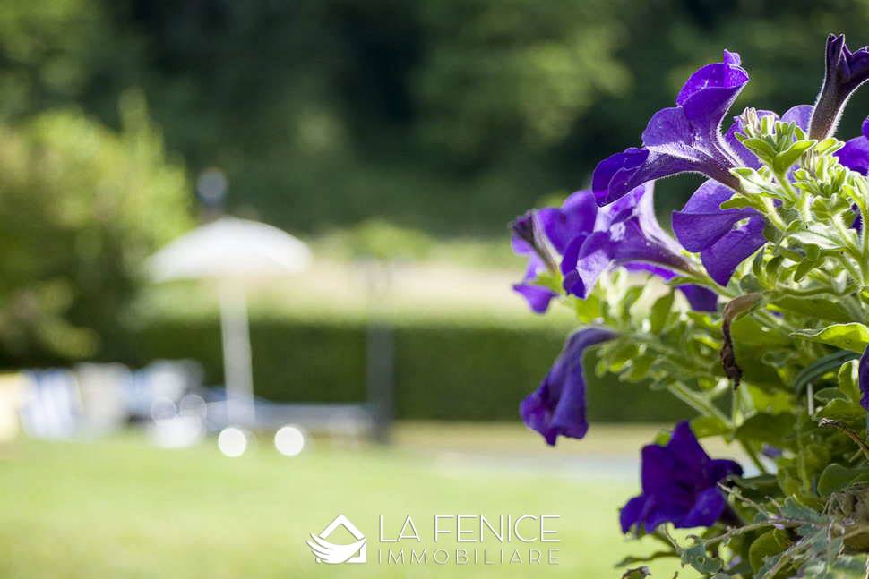 Agriturismo a Fivizzano con 6 locali di 974 m2 - Foto