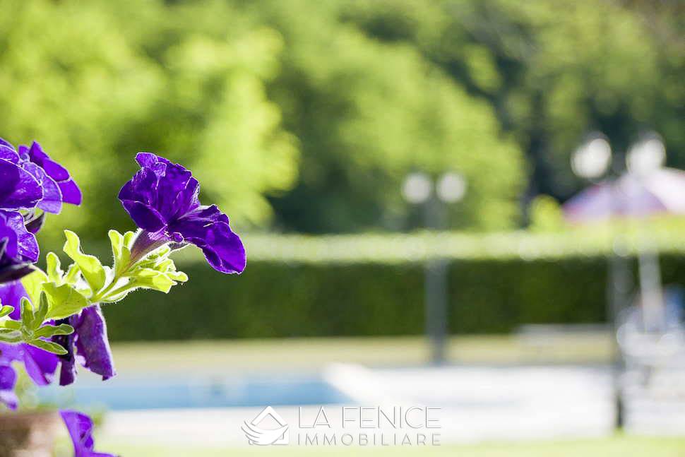 Agriturismo a Fivizzano con 6 locali di 974 m2 - Foto