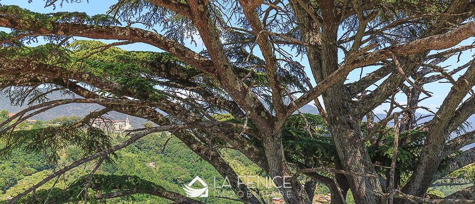 Appartamento a Beverino con 2 locali di 50 m2 - Foto