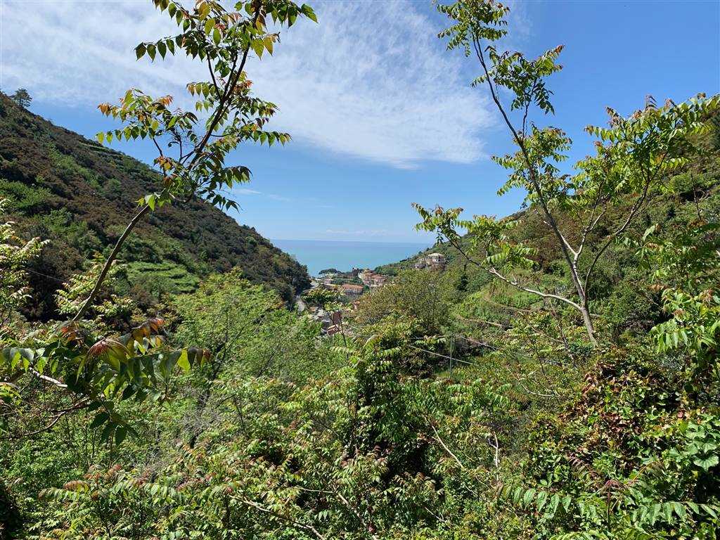 Rustico casale a Riomaggiore con 2 locali di 26 m2 - VISTA