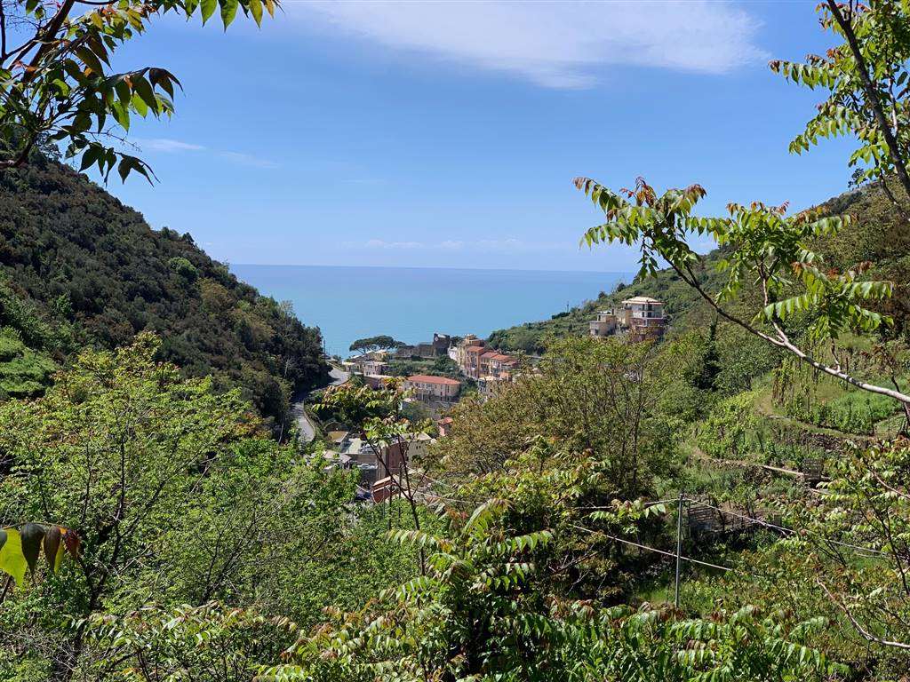 Rustico casale a Riomaggiore con 2 locali di 26 m2 - VISTA