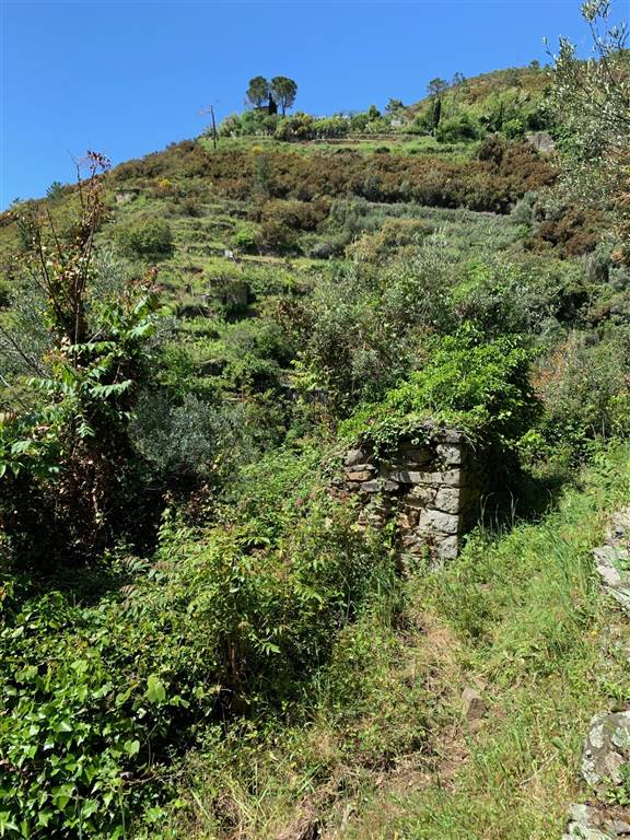 Rustico casale a Riomaggiore con 2 locali di 26 m2 - ESTERNO
