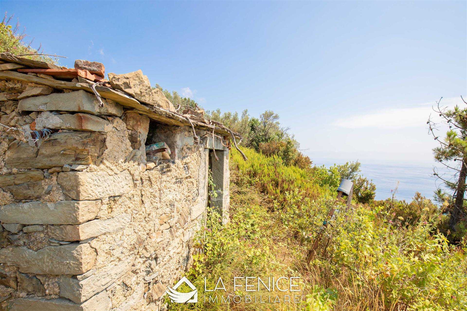 Rustico casale a Riomaggiore con 1 locali di 15 m2 - Foto