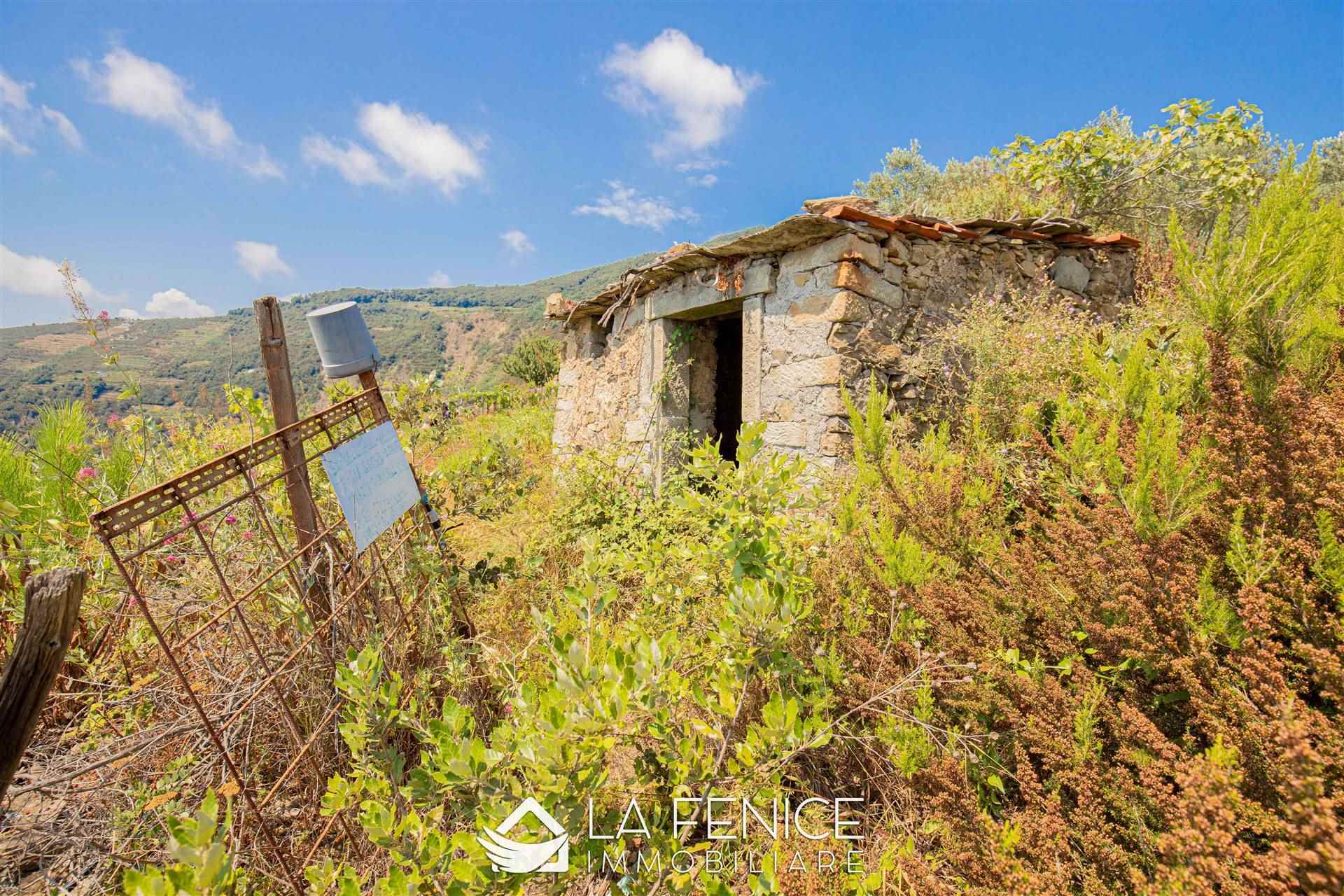 Rustico casale a Riomaggiore con 1 locali di 15 m2 - Foto