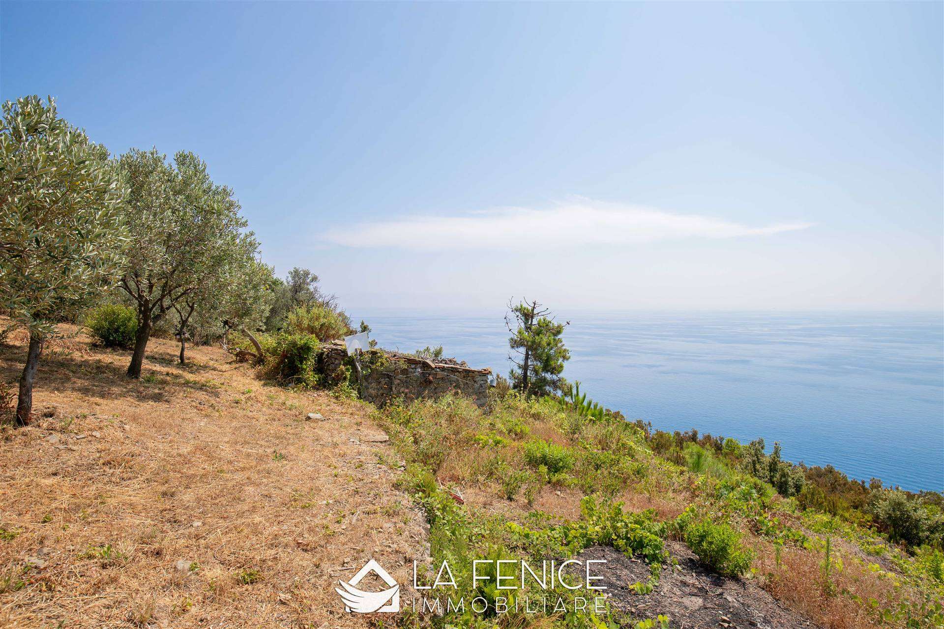 Rustico casale a Riomaggiore con 1 locali di 15 m2 - Foto