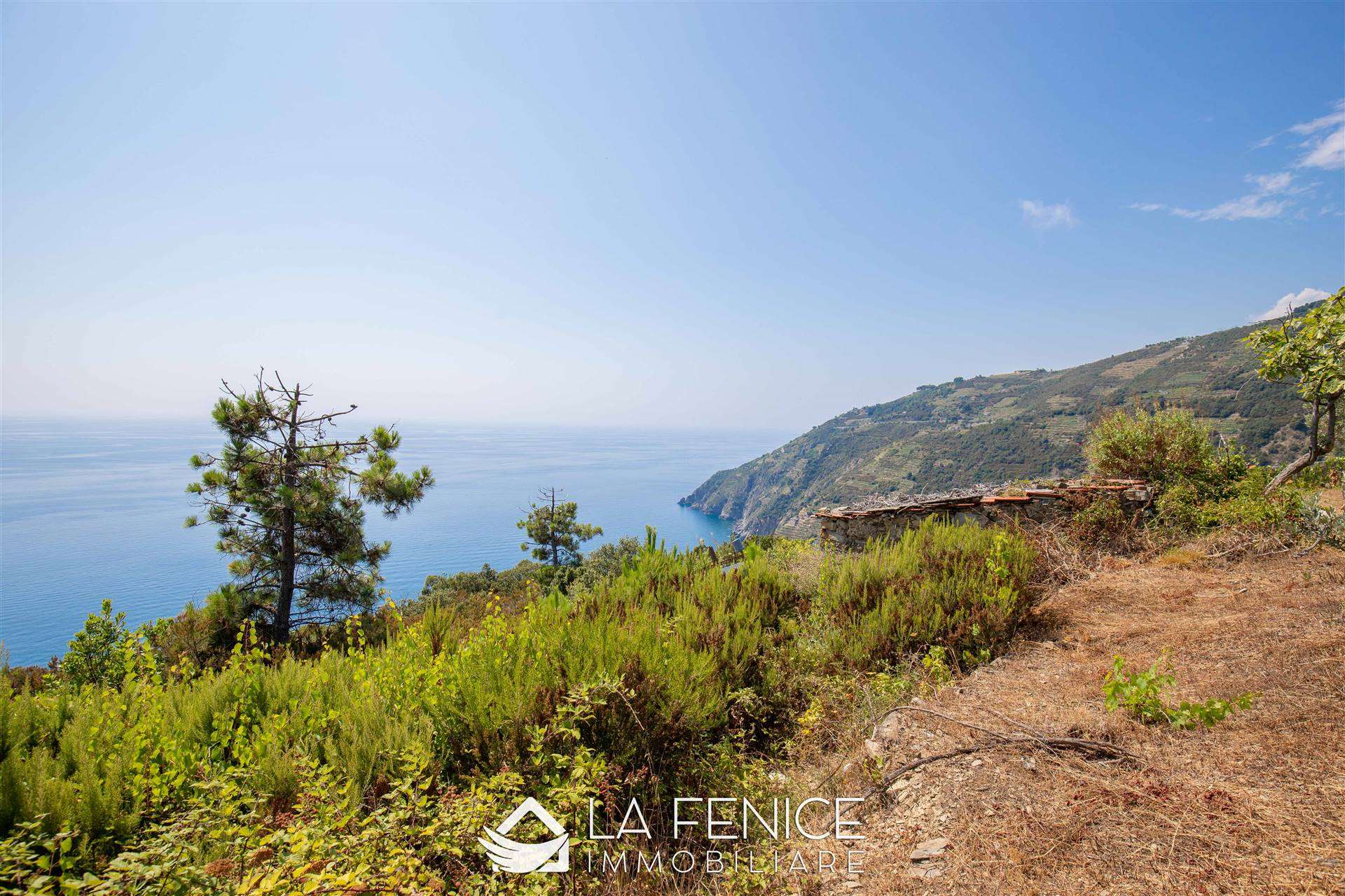 Rustico casale a Riomaggiore con 1 locali di 15 m2 - Foto