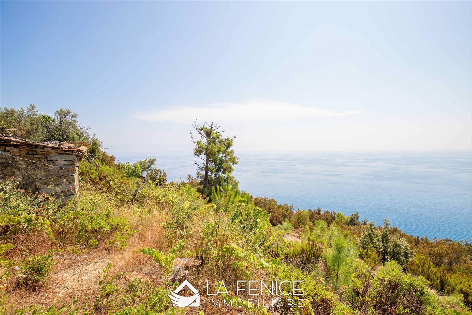 Rustico casale a Riomaggiore con 1 locali di 15 m2 - Foto