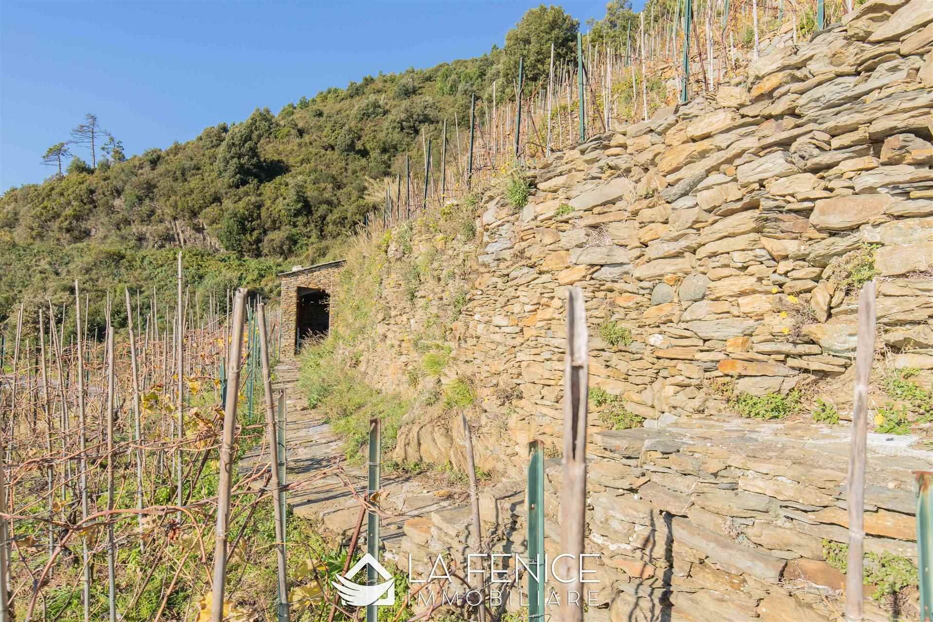 Villa a Vernazza con 5 locali di 227 m2 - Foto