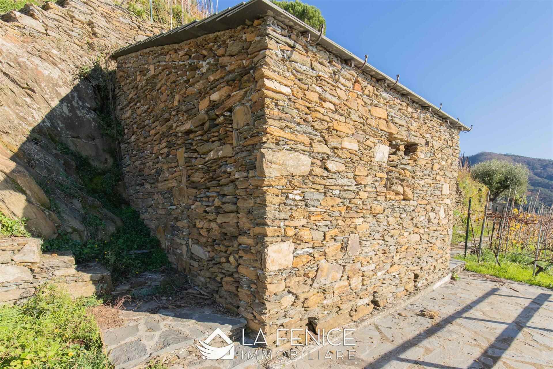 Villa a Vernazza con 5 locali di 227 m2 - Foto
