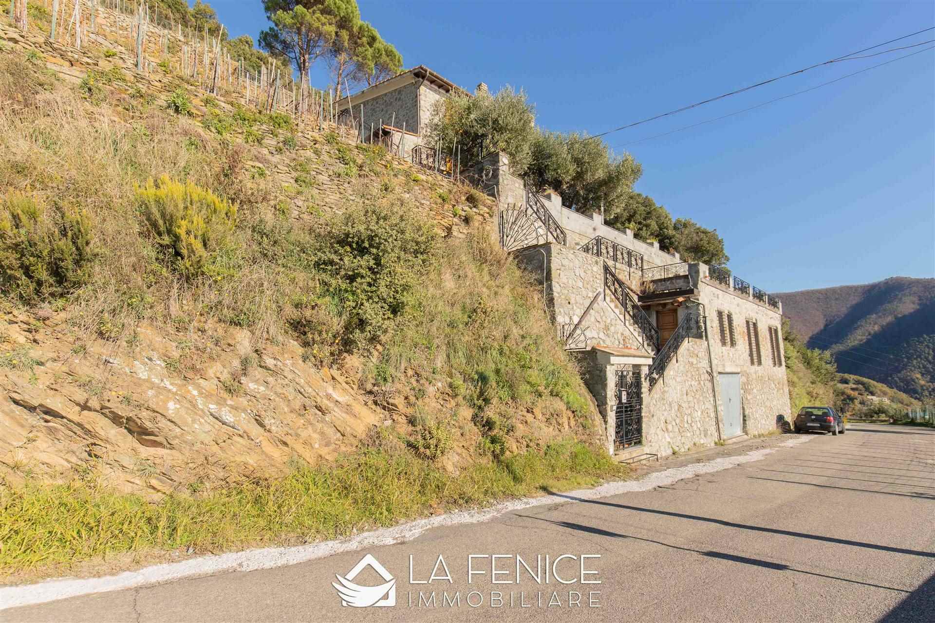 Villa a Vernazza con 5 locali di 227 m2 - Foto