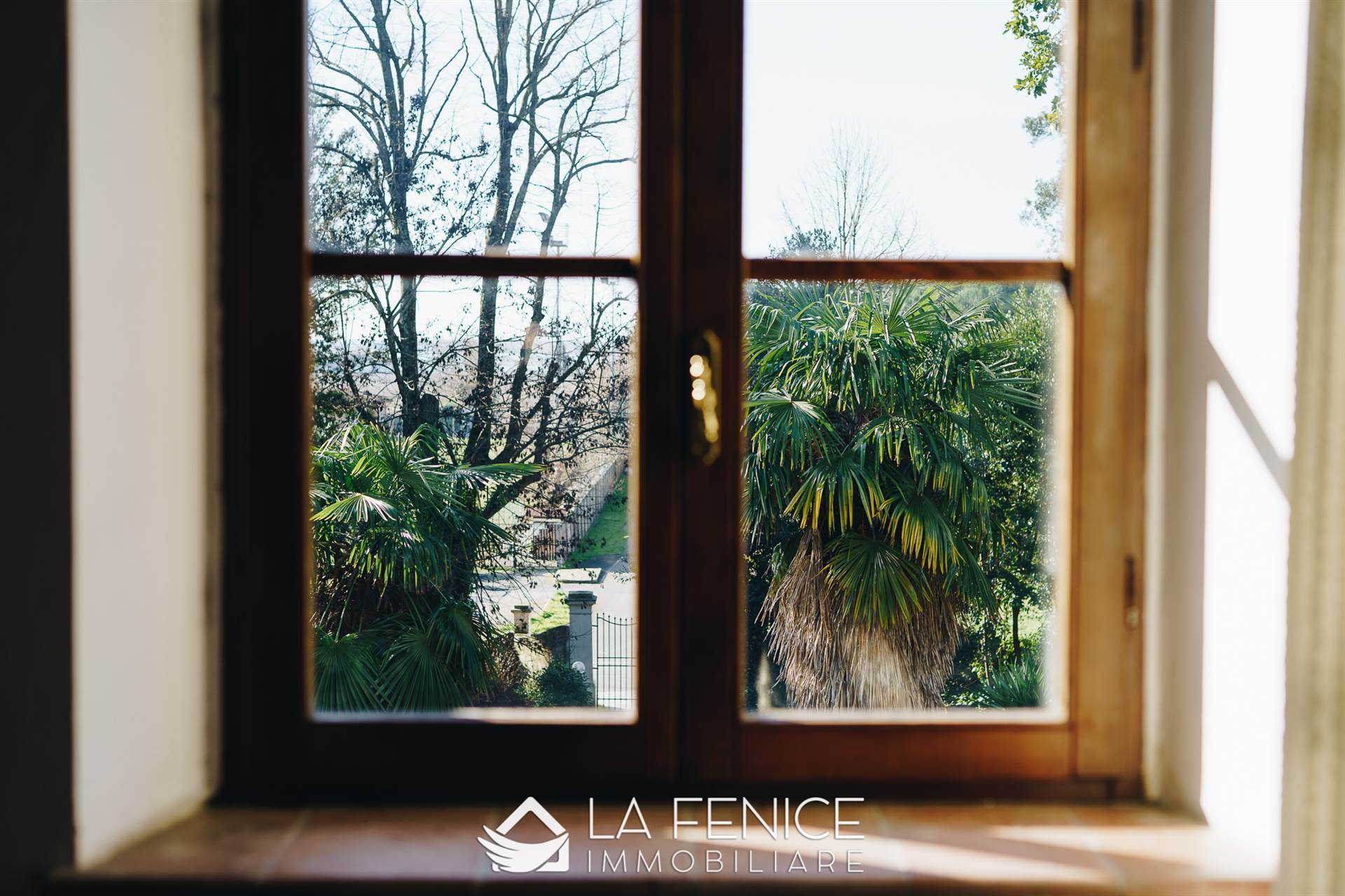 Villa a San giuliano terme con 25 locali di 1675 m2 - Foto Villa a San giuliano terme con 25 locali di 1675 m2 - Foto