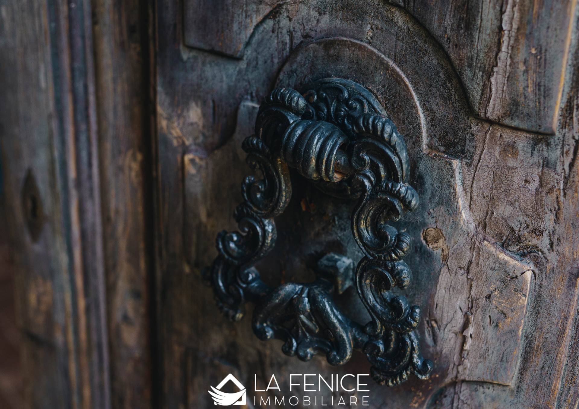 Villa a San giuliano terme con 25 locali di 1675 m2 - Foto Villa a San giuliano terme con 25 locali di 1675 m2 - Foto