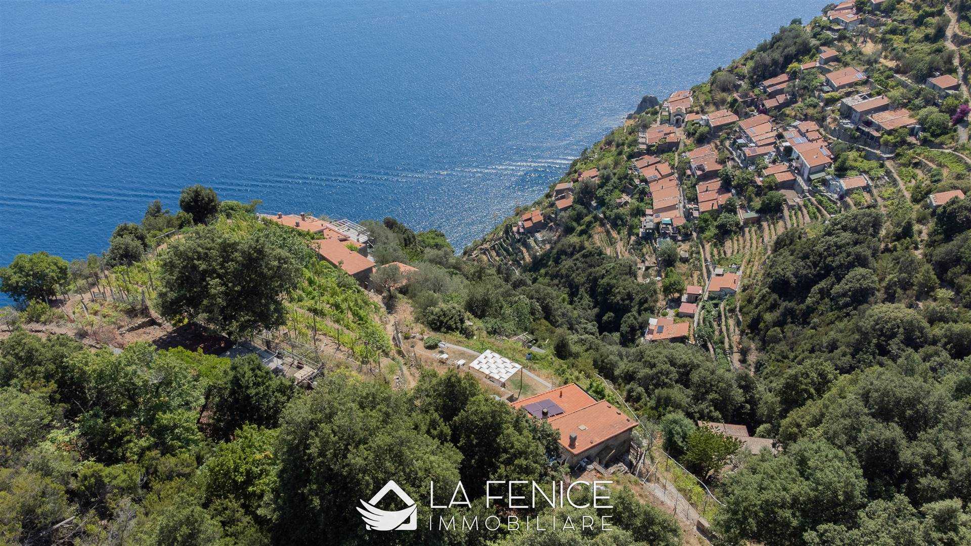 Rustico casale a Riomaggiore con 3 locali di 63 m2 - Foto