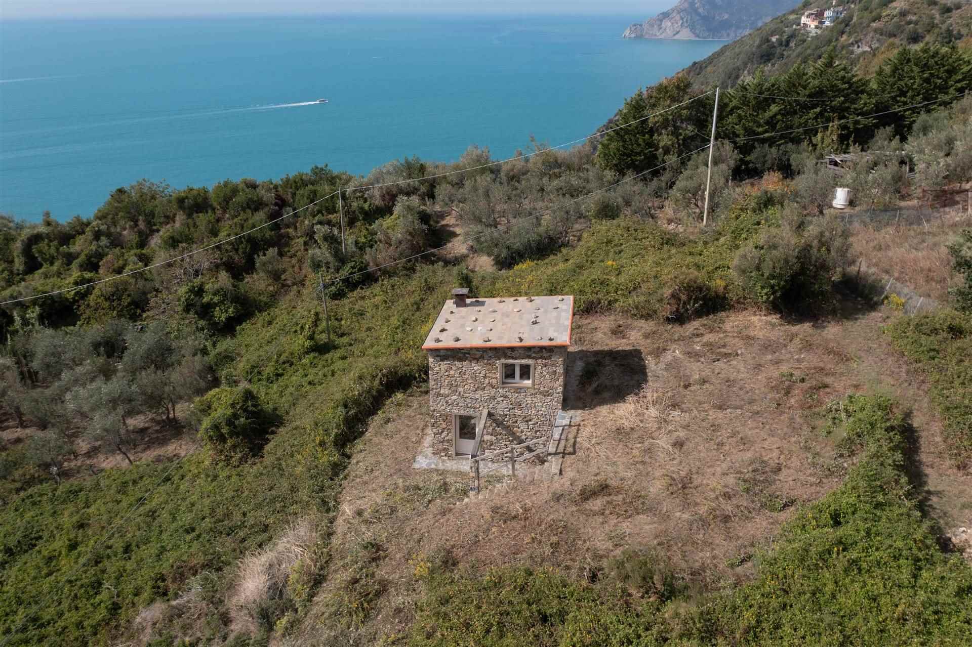 Rustico casale a Vernazza con 2 locali di 30 m2 - Foto