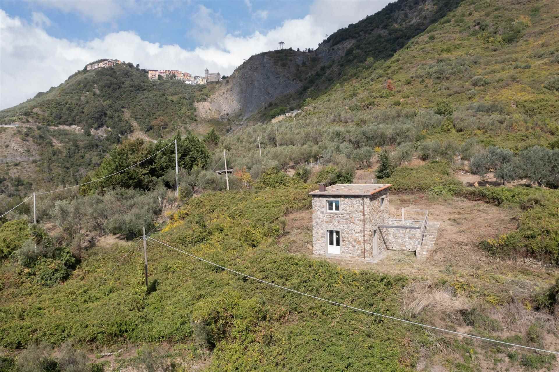 Rustico casale a Vernazza con 2 locali di 30 m2 - Foto