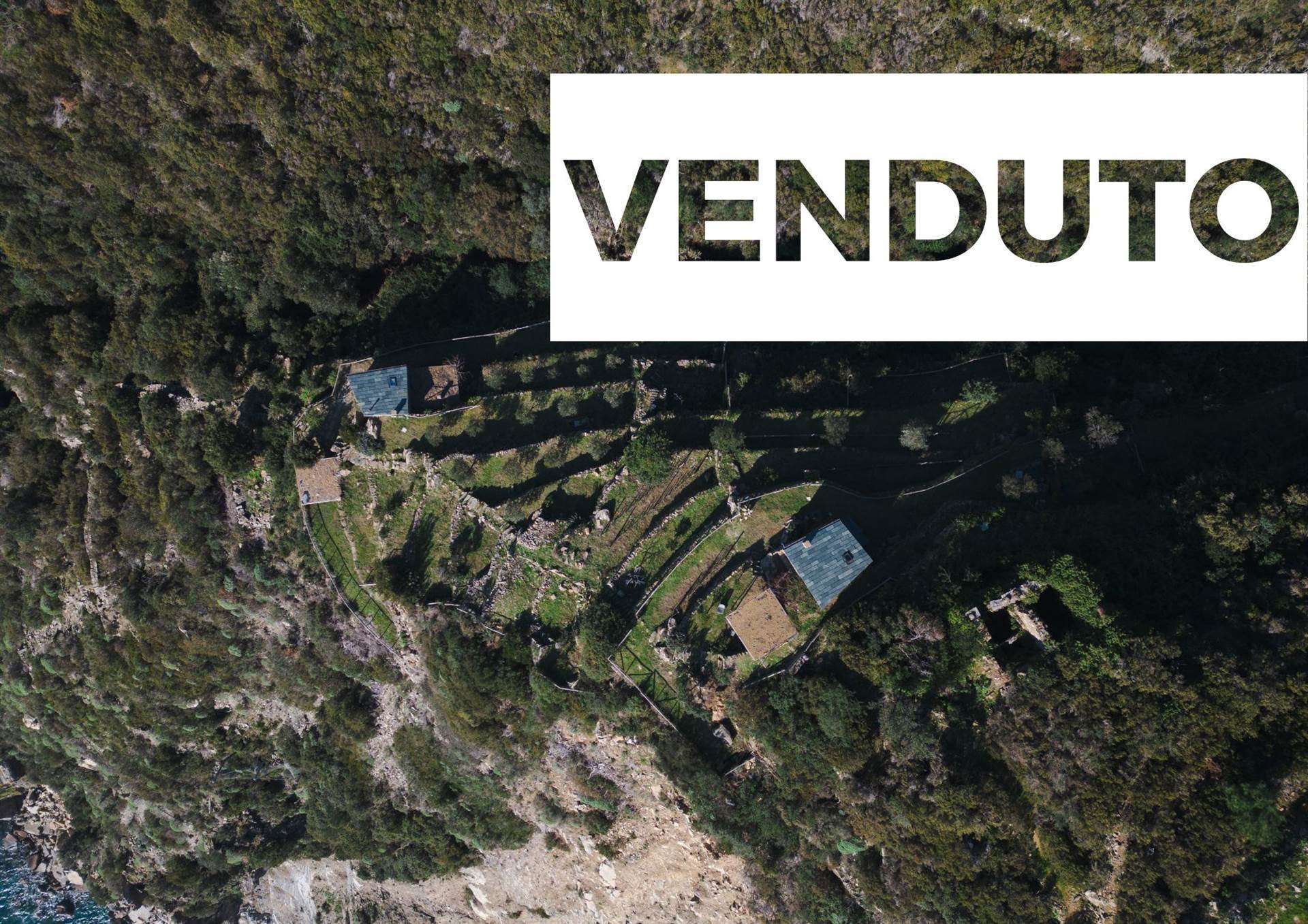 Rustico casale a Riomaggiore con 2 locali di 41 m2 - Foto