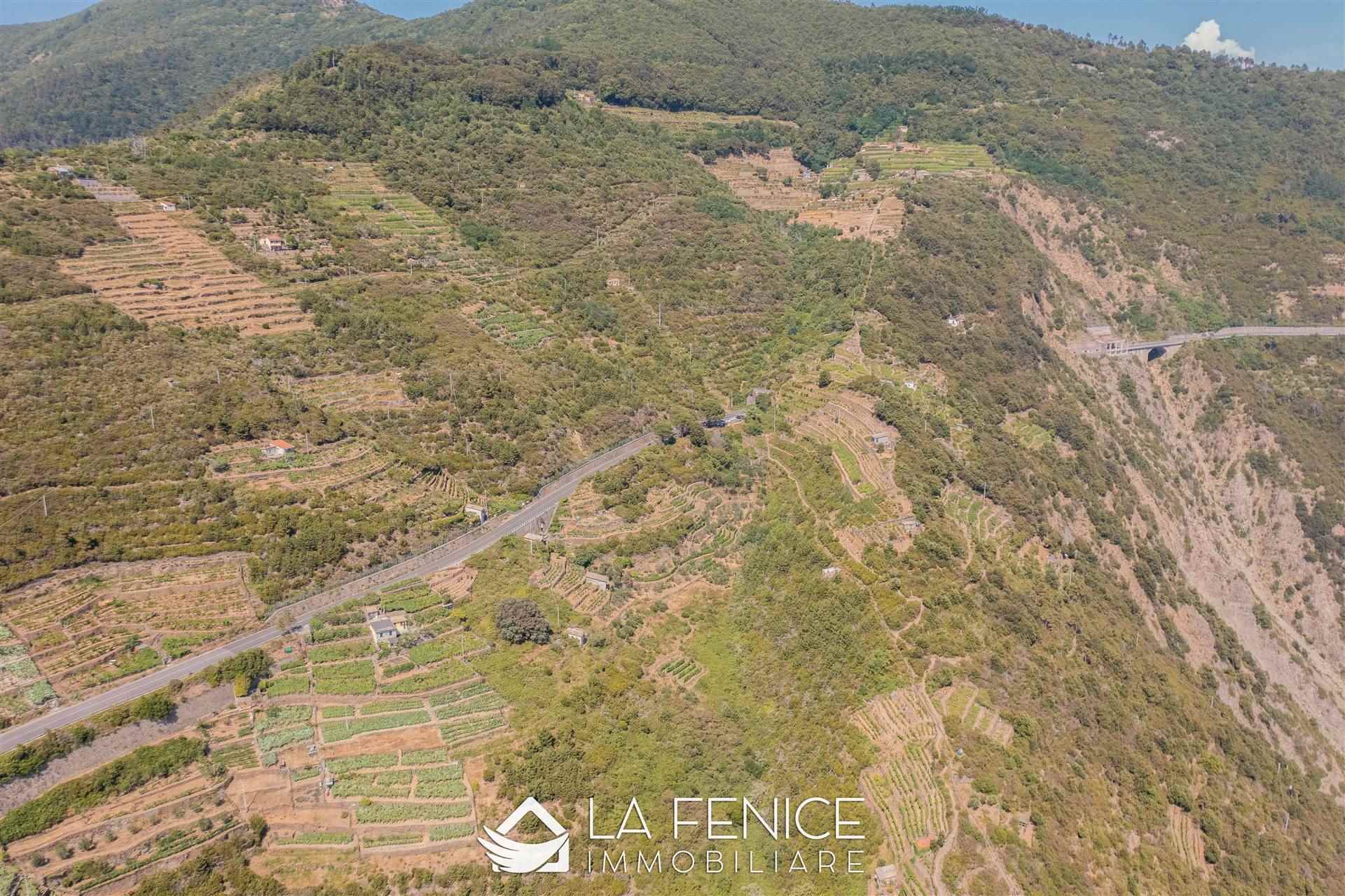 Rustico casale a Riomaggiore con 2 locali di 41 m2 - Foto