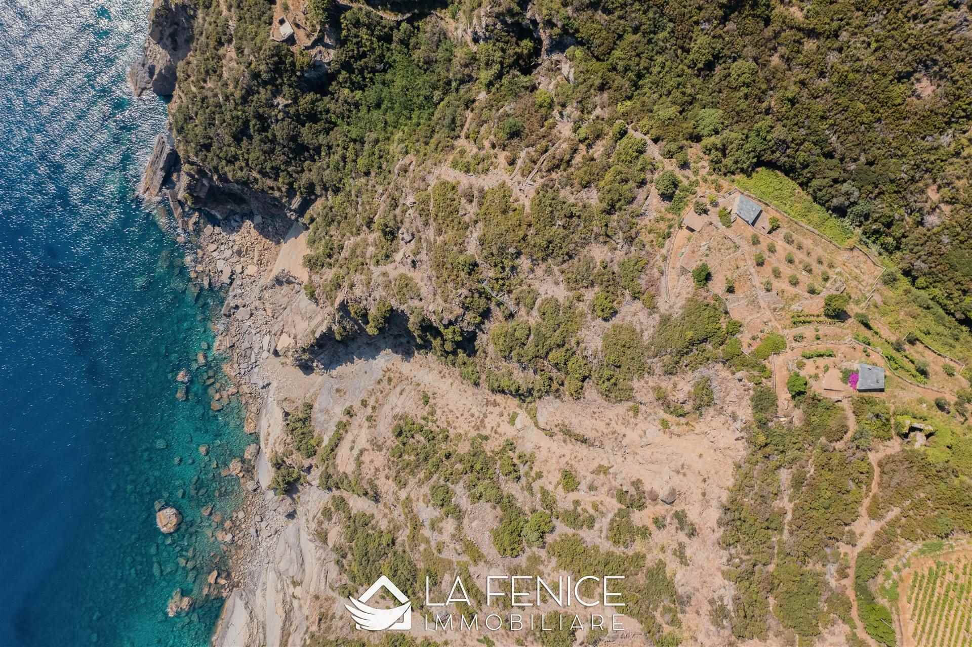 Rustico casale a Riomaggiore con 2 locali di 41 m2 - Foto