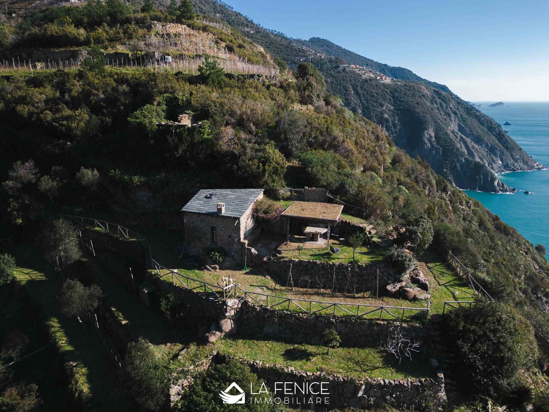 Rustico casale a Riomaggiore con 1 locali di 21 m2 - Foto