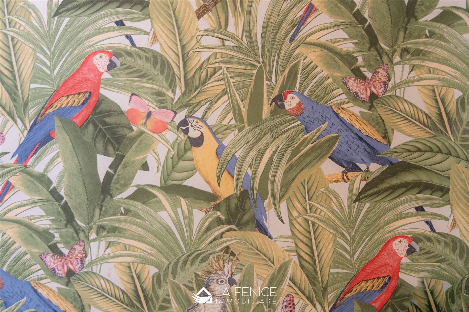 Appartamento a Monterosso al mare con 2 locali di 33 m2 - DETTAGLIO