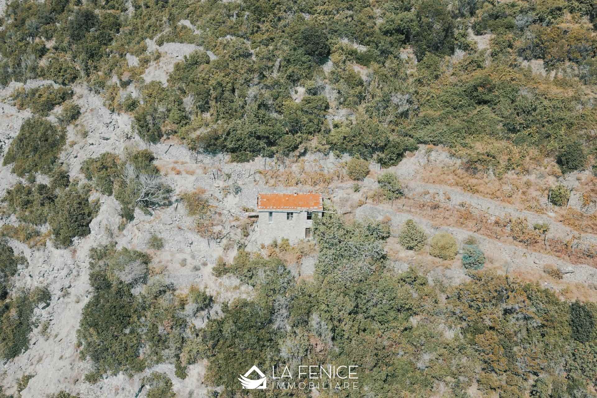 Rustico casale a Riomaggiore con 3 locali di 31 m2 - Foto