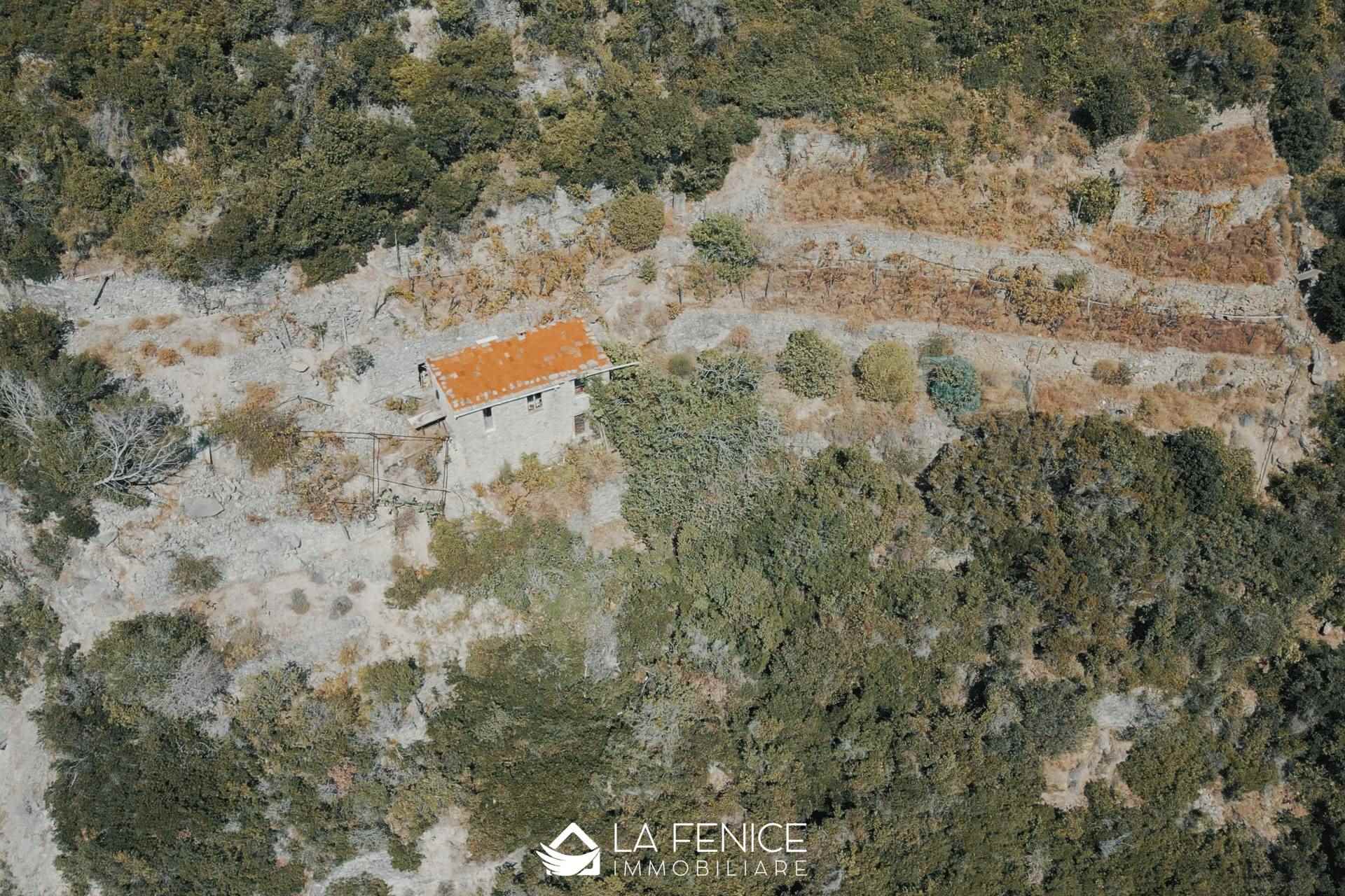 Rustico casale a Riomaggiore con 3 locali di 31 m2 - Foto