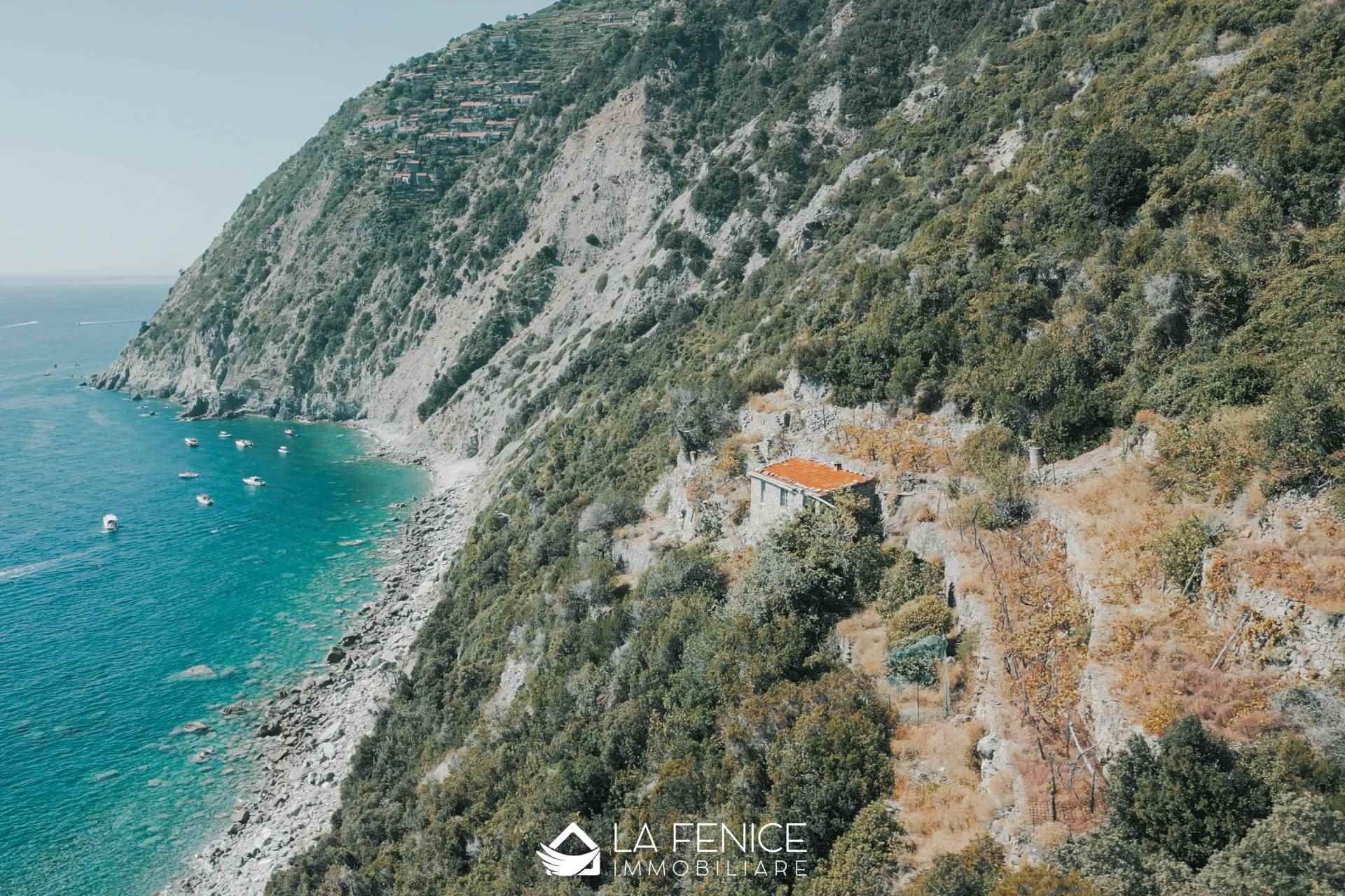 Rustico casale a Riomaggiore con 3 locali di 31 m2 - Foto