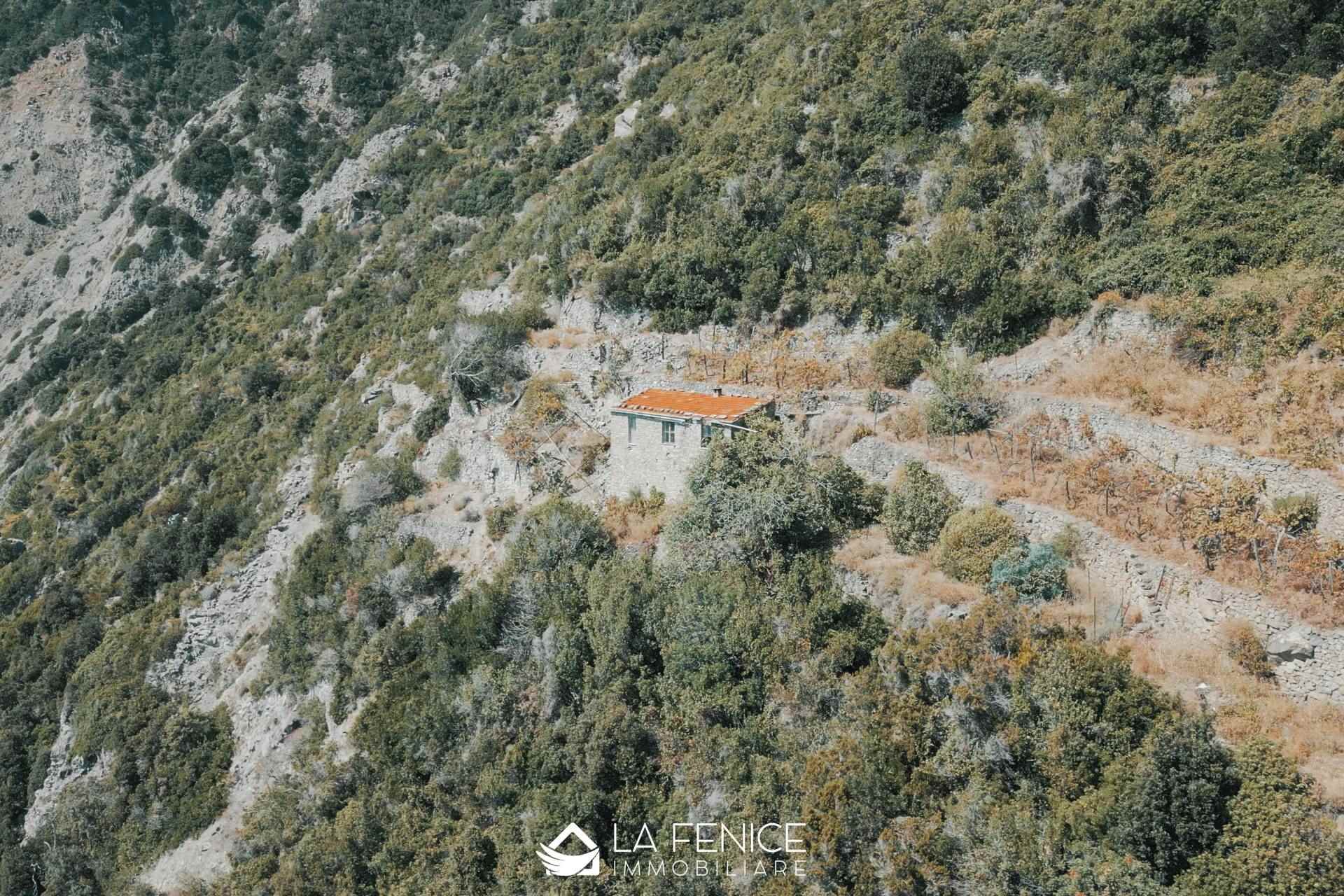 Rustico casale a Riomaggiore con 3 locali di 31 m2 - Foto