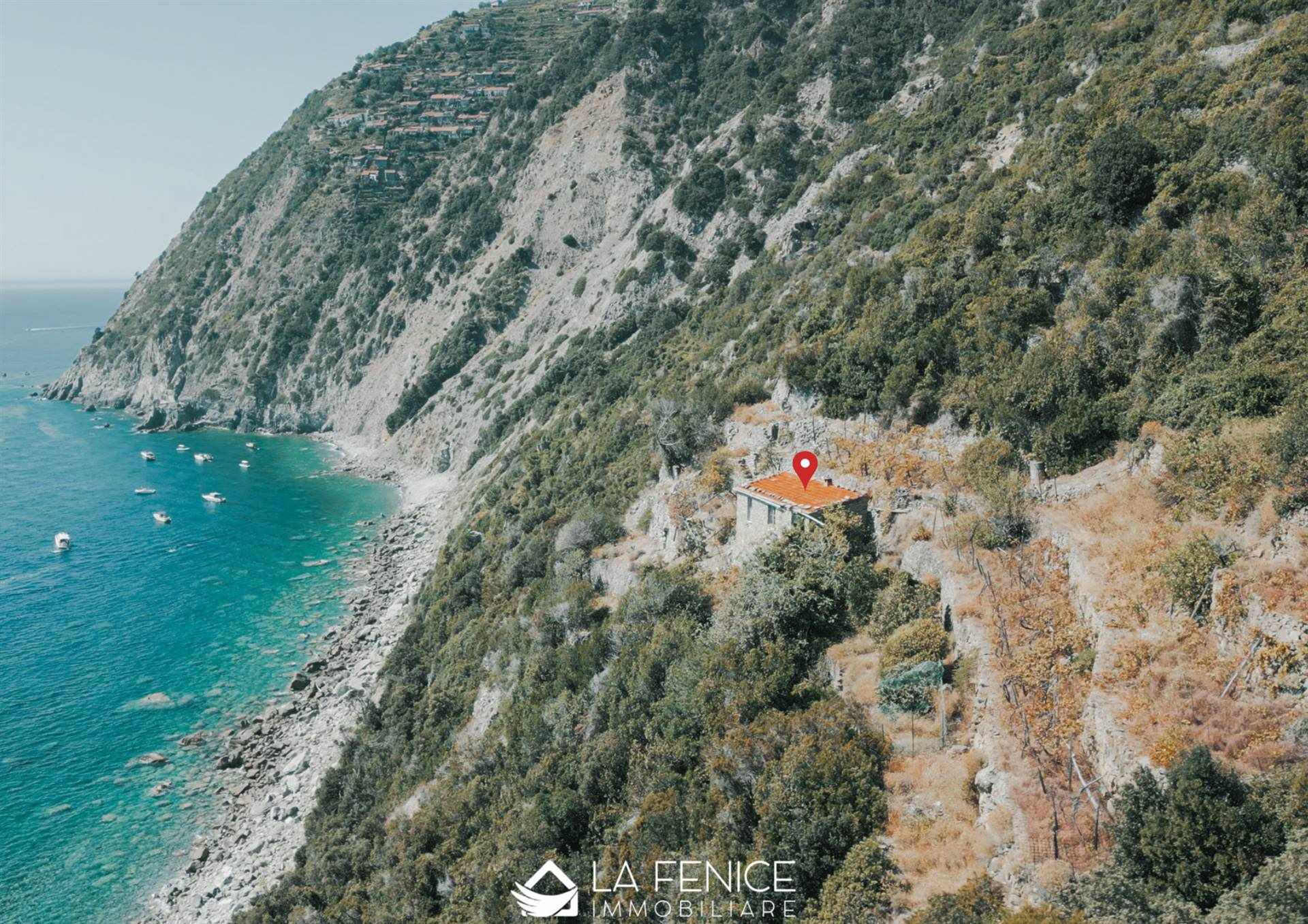 Rustico casale a Riomaggiore con 3 locali di 31 m2 - Foto