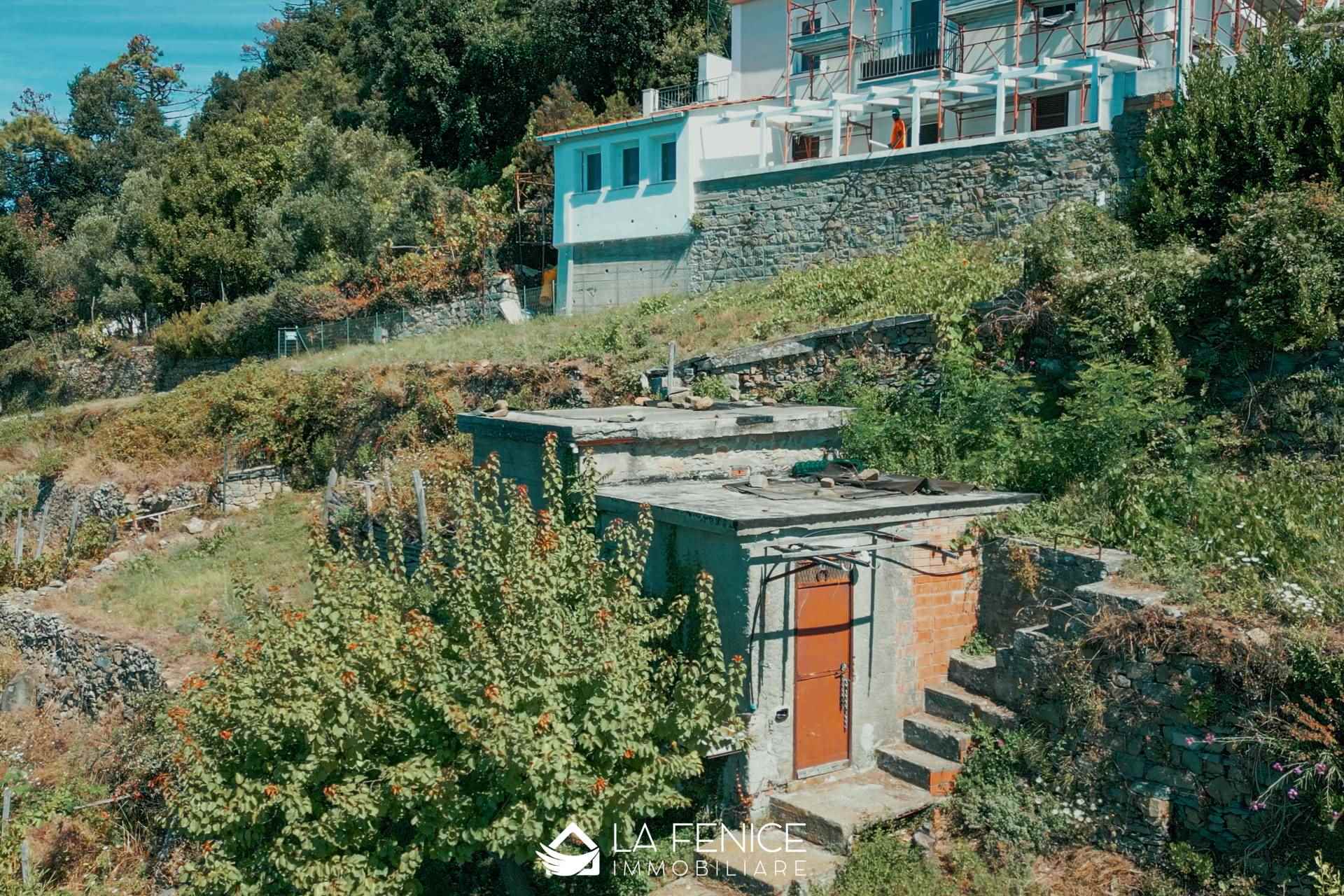 Rustico casale a Riomaggiore con 3 locali di 40 m2 - RUSTICO