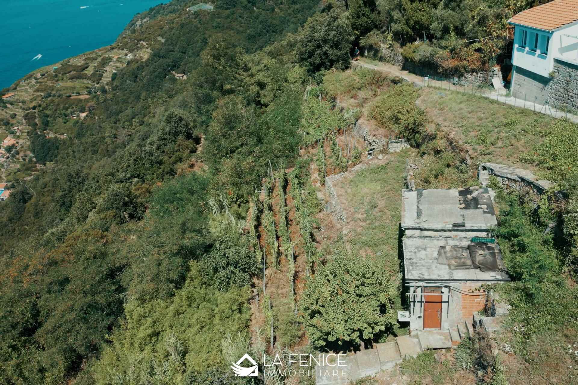 Rustico casale a Riomaggiore con 3 locali di 40 m2 - PANORAMICA