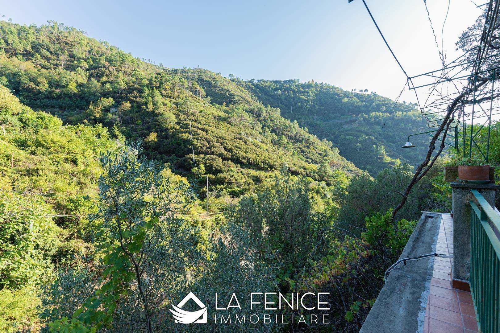 Rustico casale a Riomaggiore con 4 locali di 70 m2 - TERRAZZA