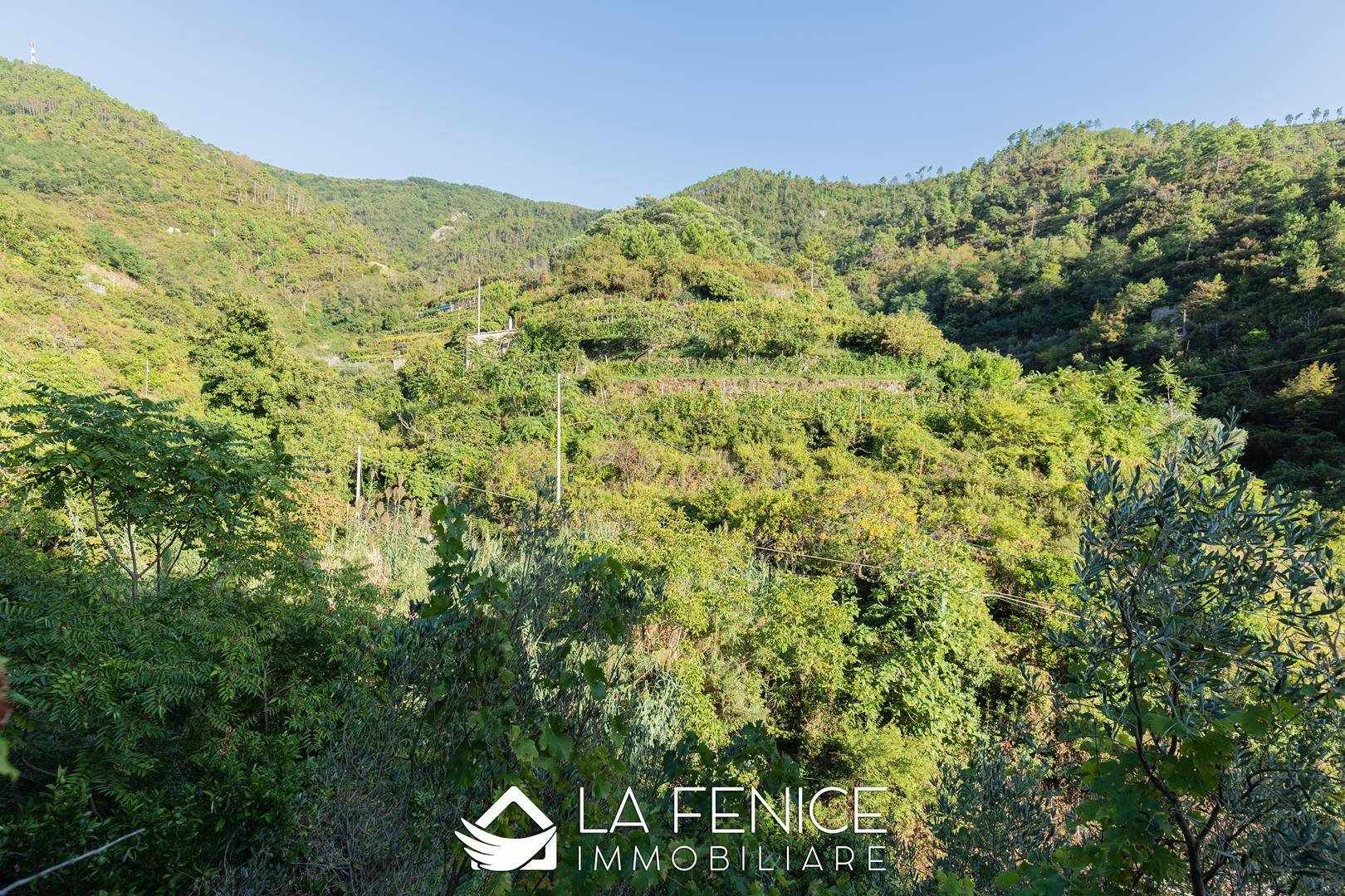 Rustico casale a Riomaggiore con 4 locali di 70 m2 - TERRAZZA