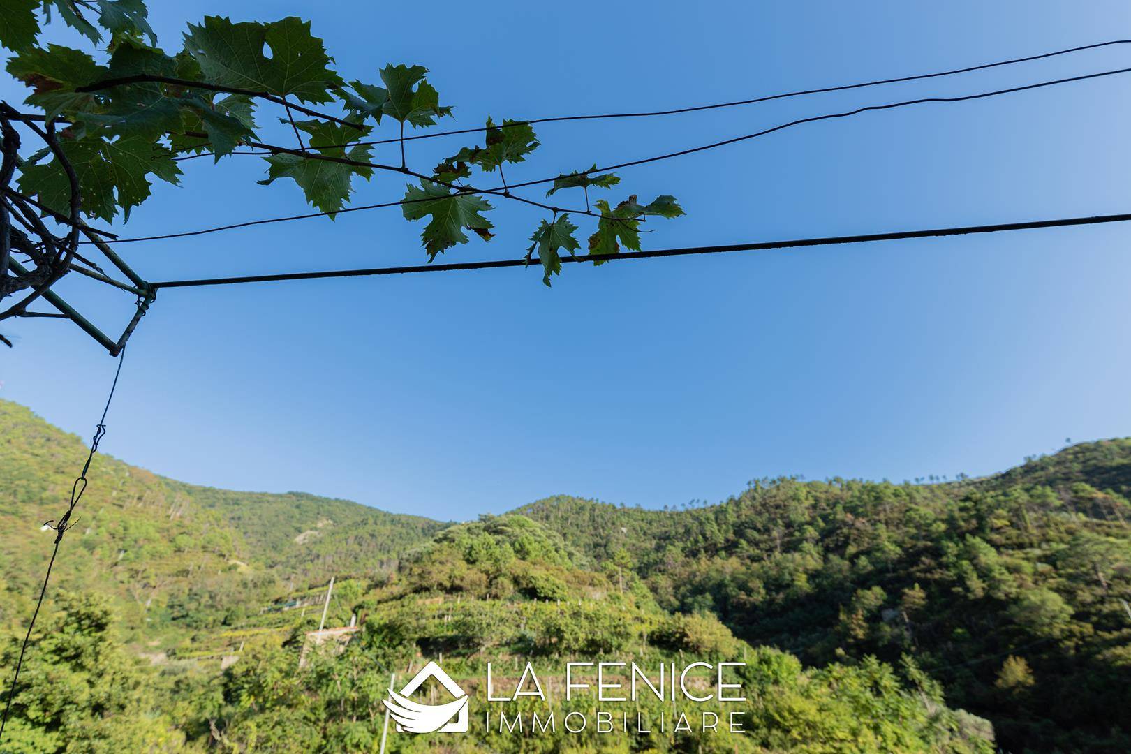 Rustico casale a Riomaggiore con 4 locali di 70 m2 - TERRAZZA