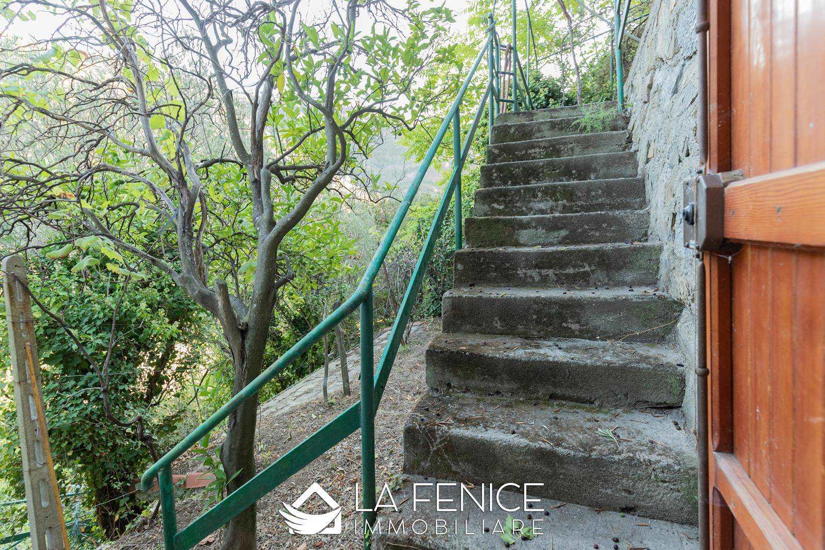 Rustico casale a Riomaggiore con 4 locali di 70 m2 - ESTERNO