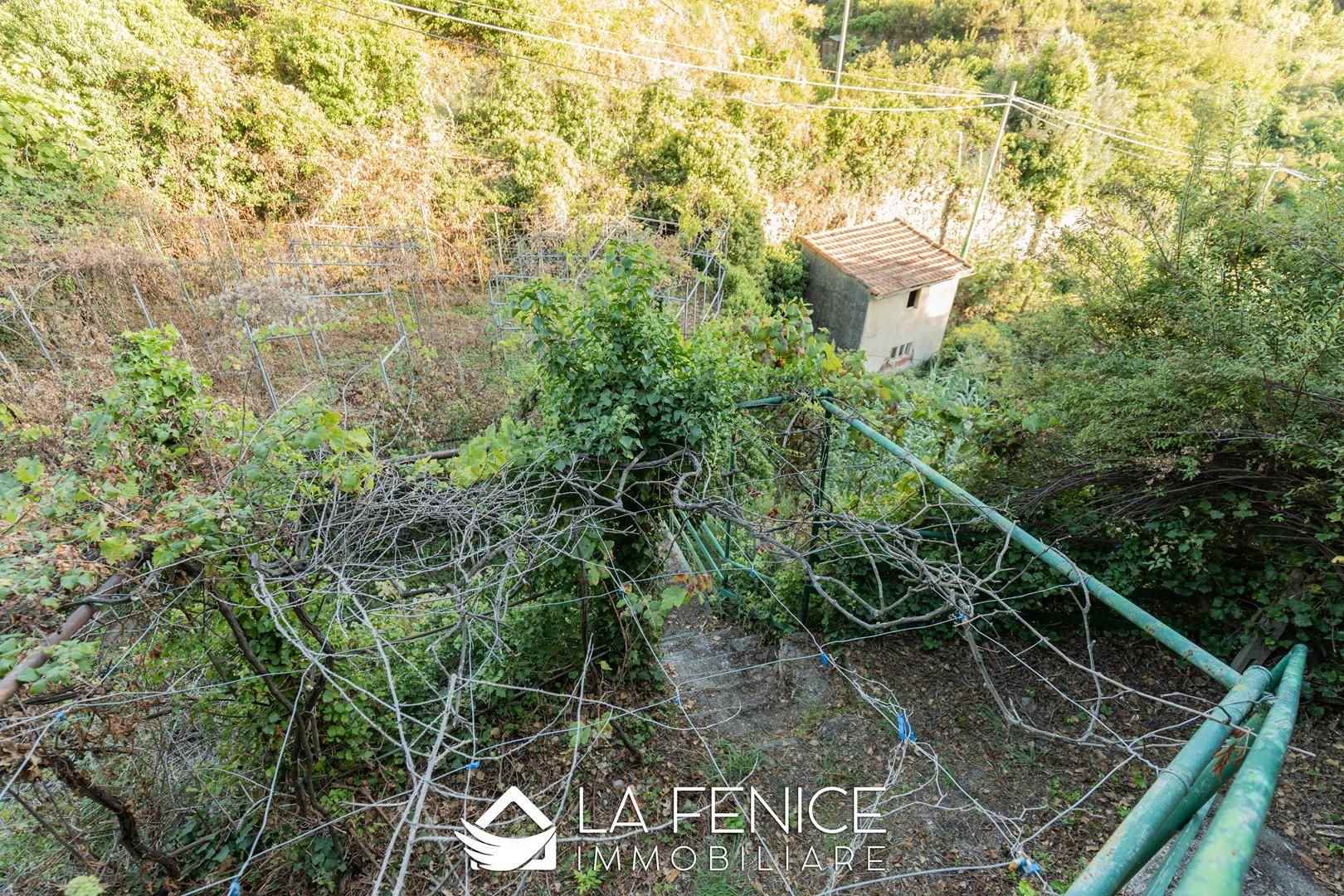 Rustico casale a Riomaggiore con 4 locali di 70 m2 - ESTERNO