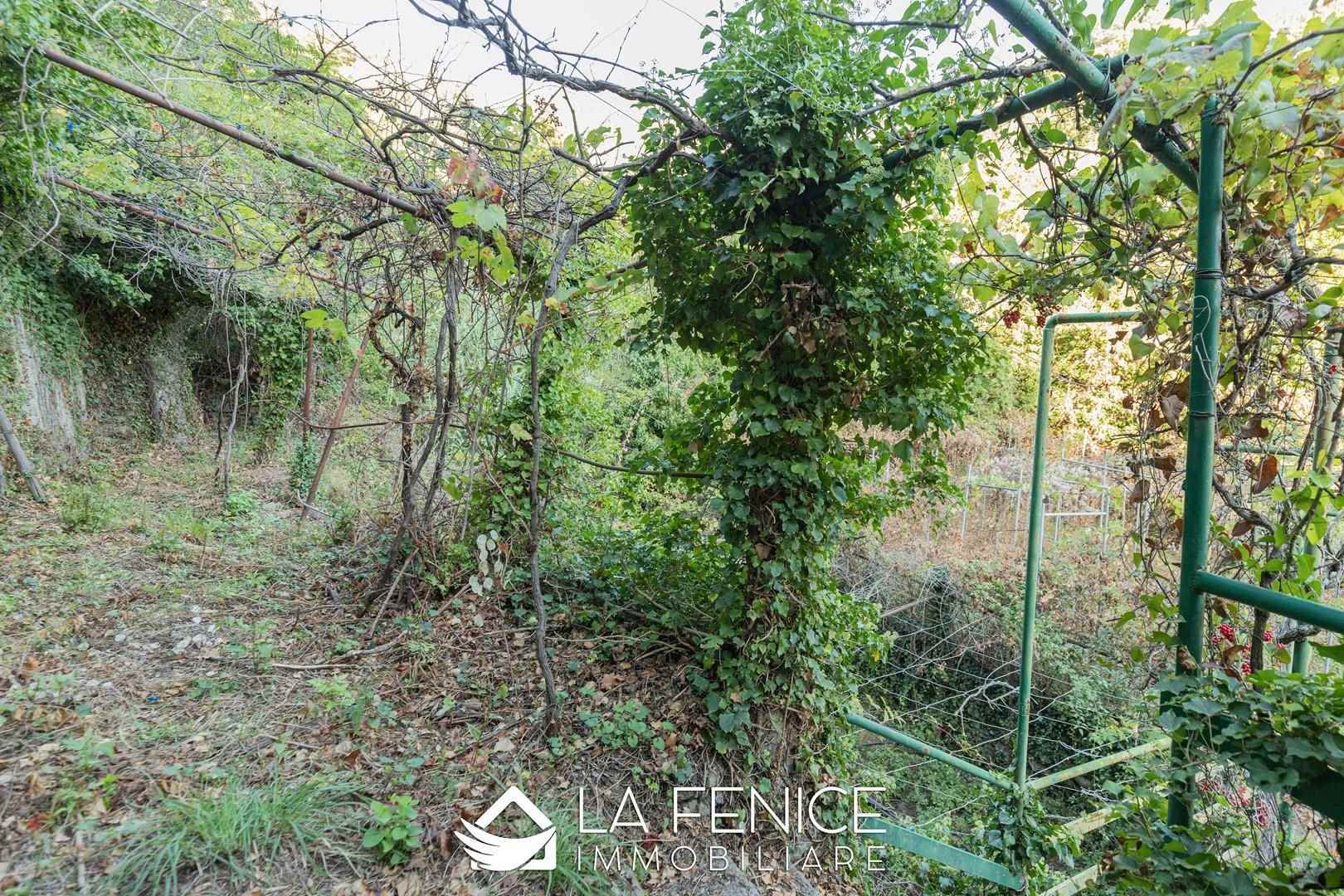 Rustico casale a Riomaggiore con 4 locali di 70 m2 - ESTERNO