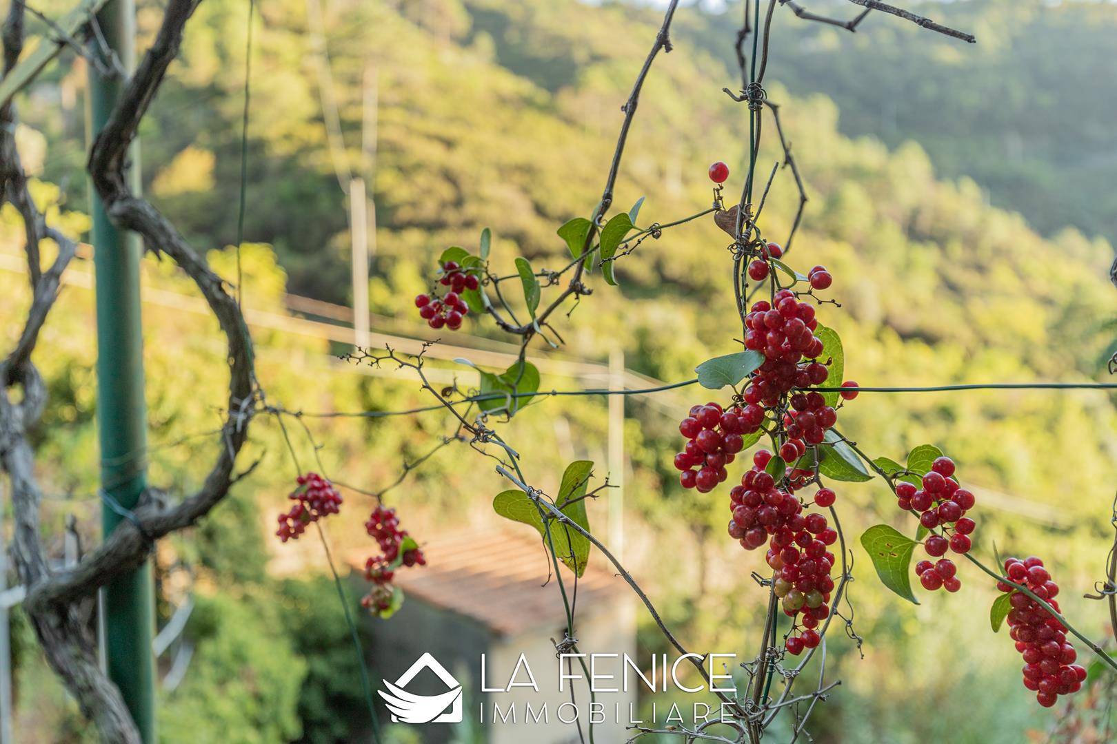 Rustico casale a Riomaggiore con 4 locali di 70 m2 - ESTERNO