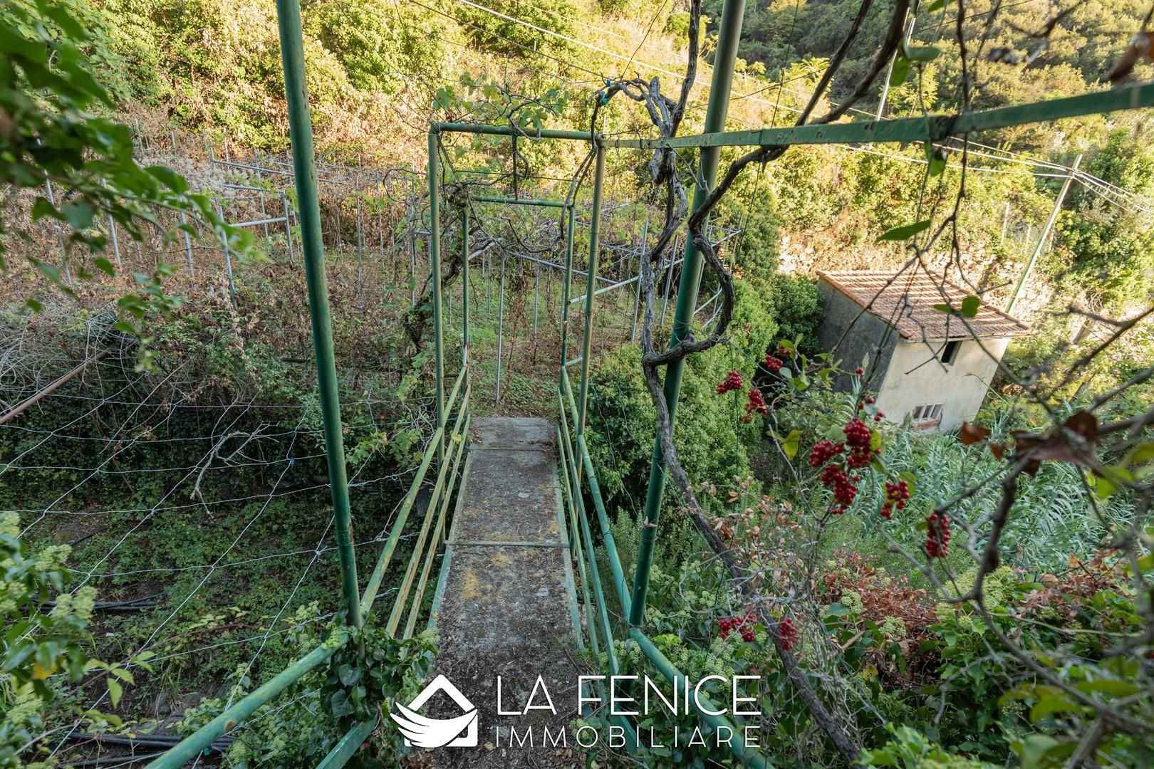 Rustico casale a Riomaggiore con 4 locali di 70 m2 - ESTERNO