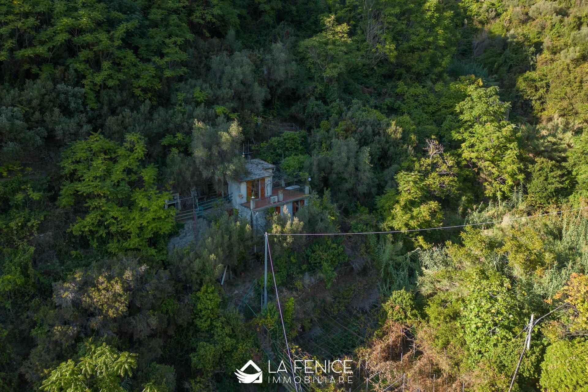 Rustico casale a Riomaggiore con 4 locali di 70 m2 - PANORAMICA