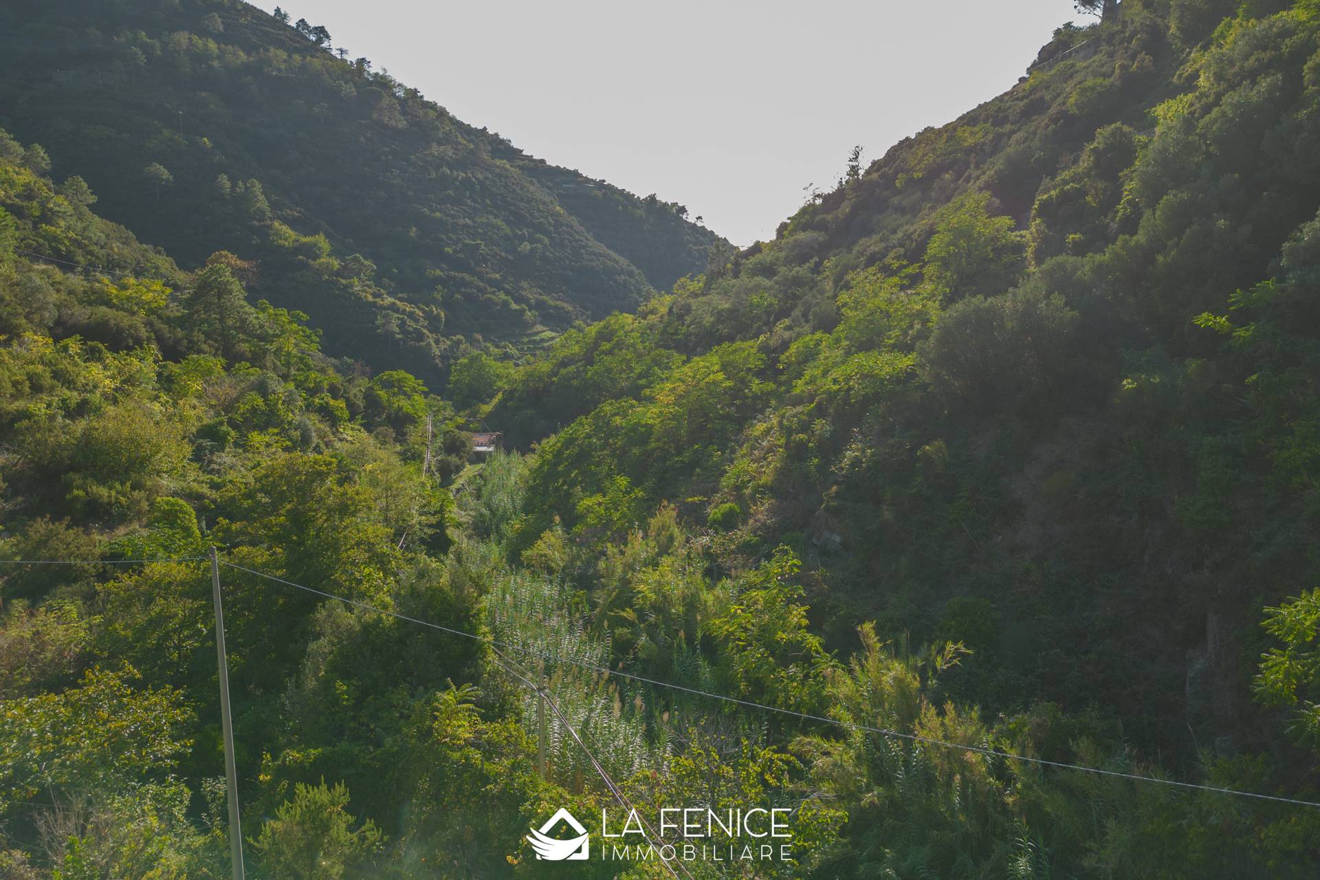 Rustico casale a Riomaggiore con 4 locali di 70 m2 - PANORAMICA