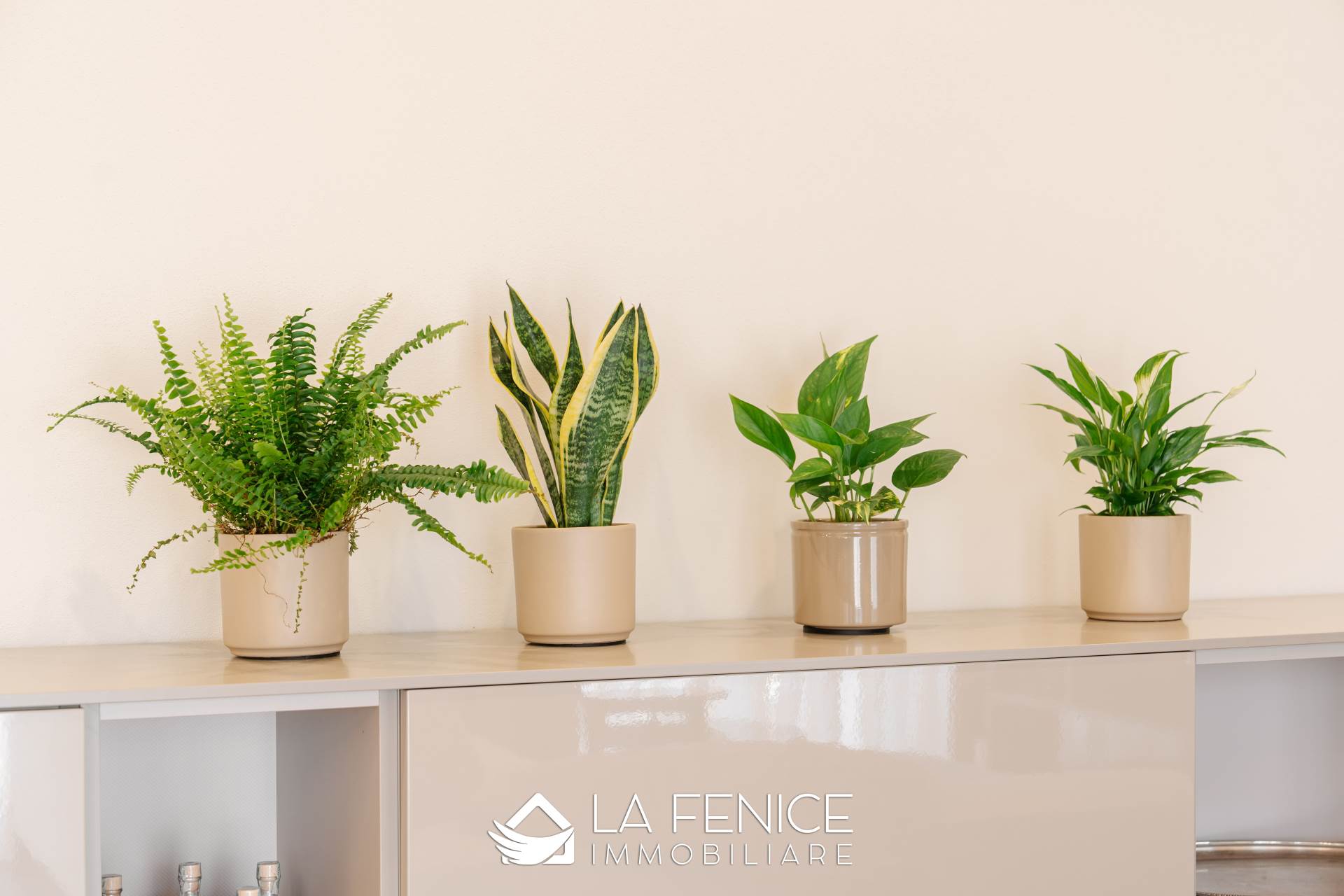 Appartamento a Carrara con 5 locali di 163 m2 - Foto