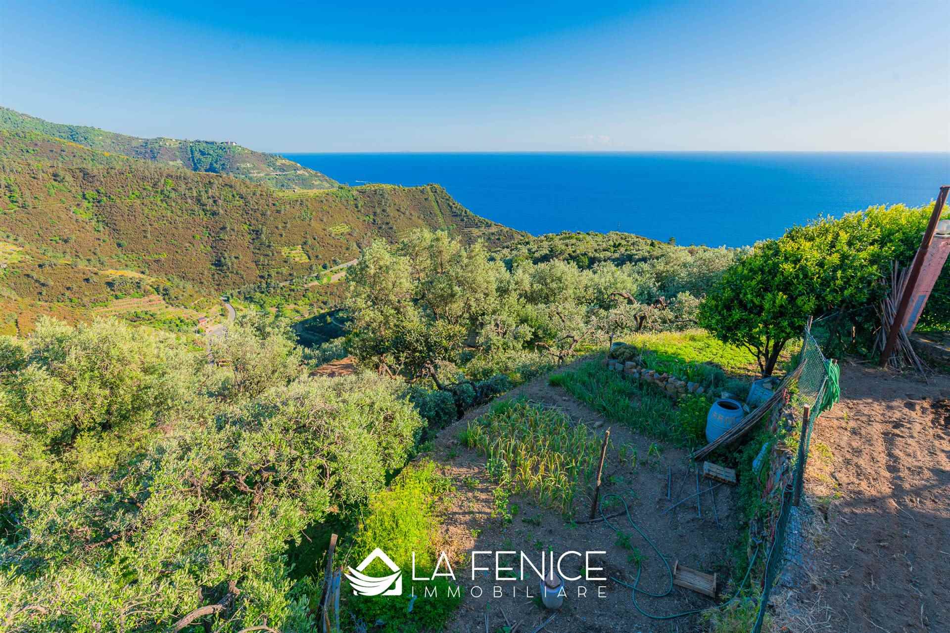 Villino a Riomaggiore con 2 locali di 60 m2 - Foto