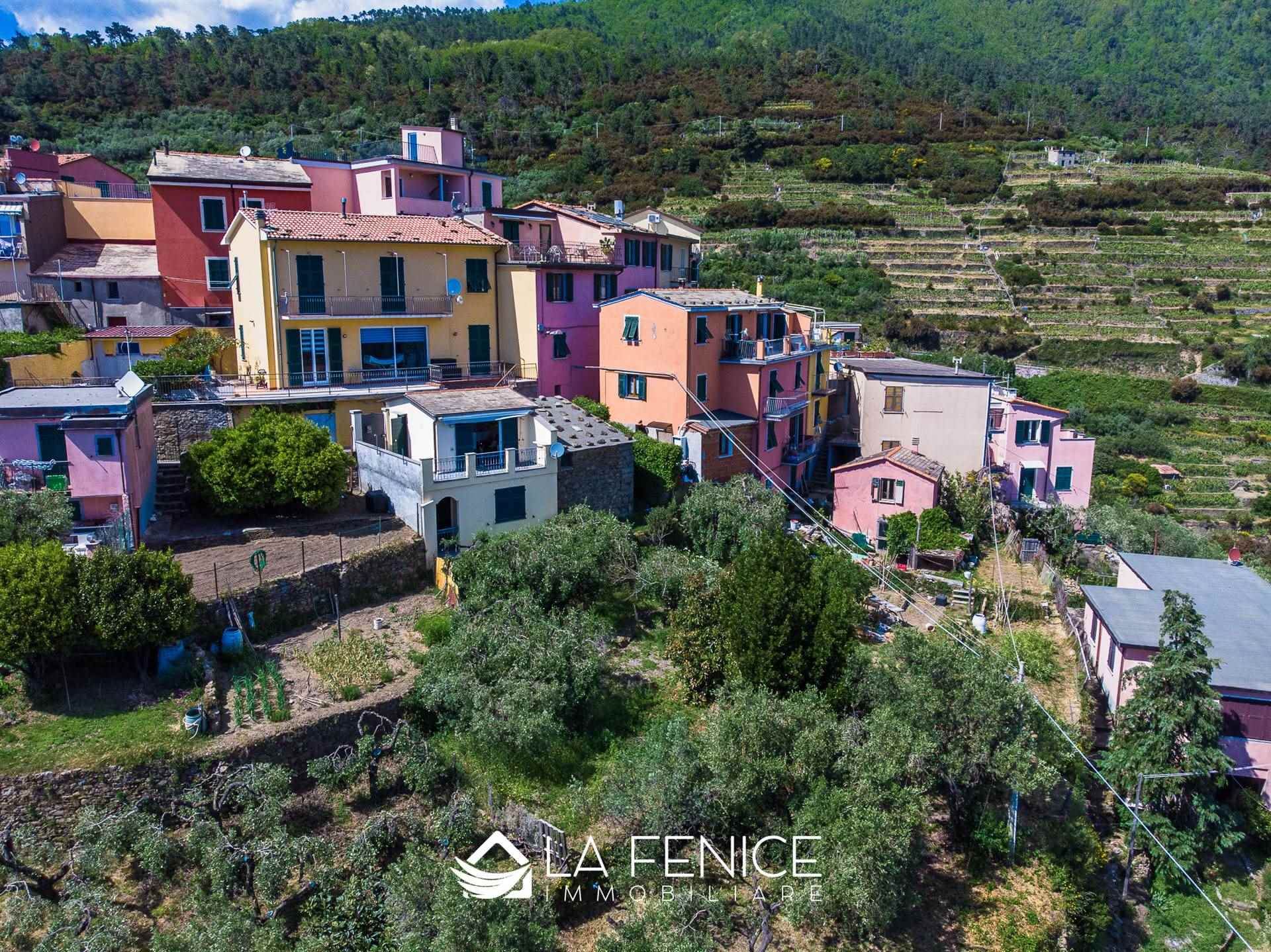Villino a Riomaggiore con 2 locali di 60 m2 - Foto