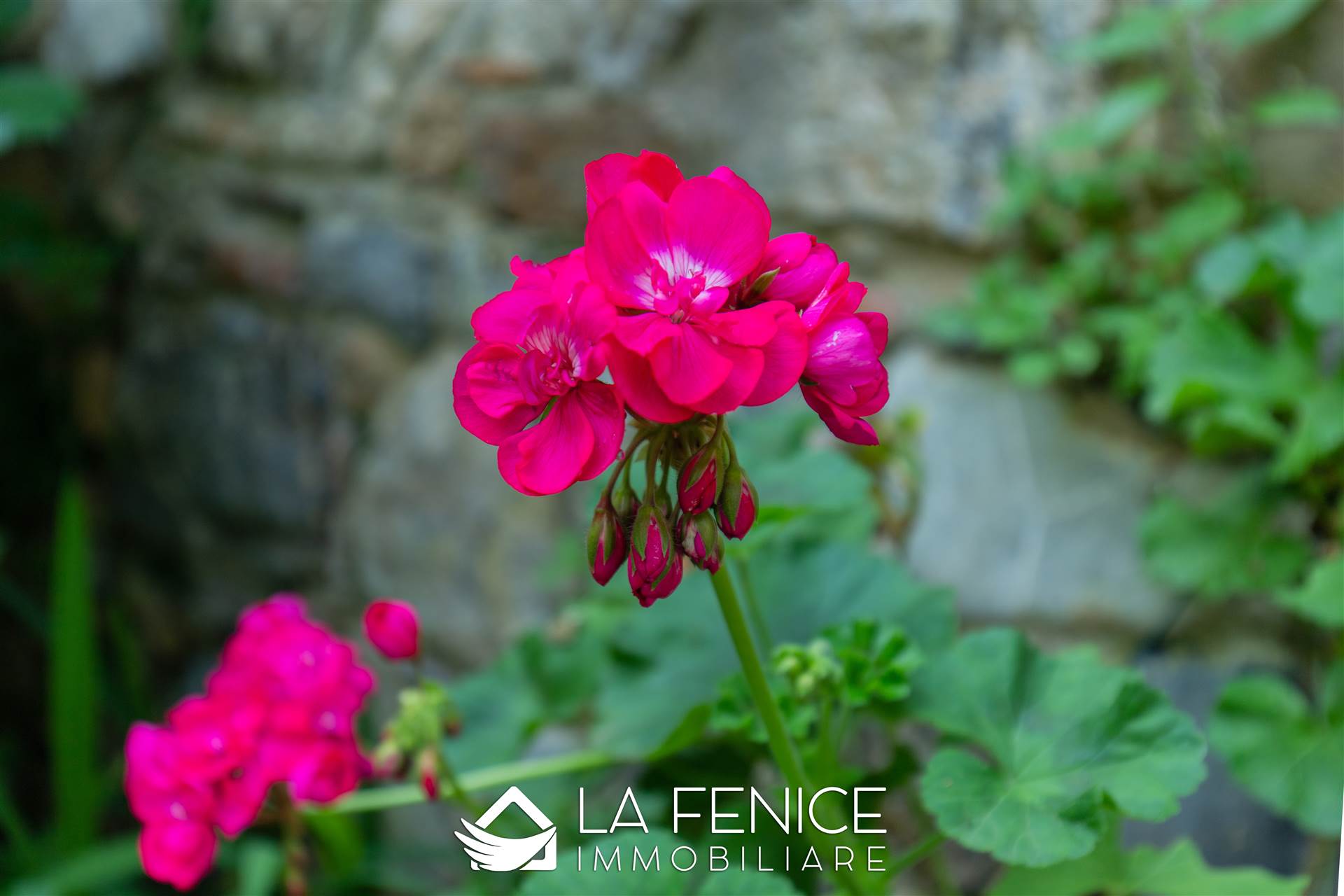 Villa bifamiliare a Lerici con 5 locali di 125 m2 - Foto