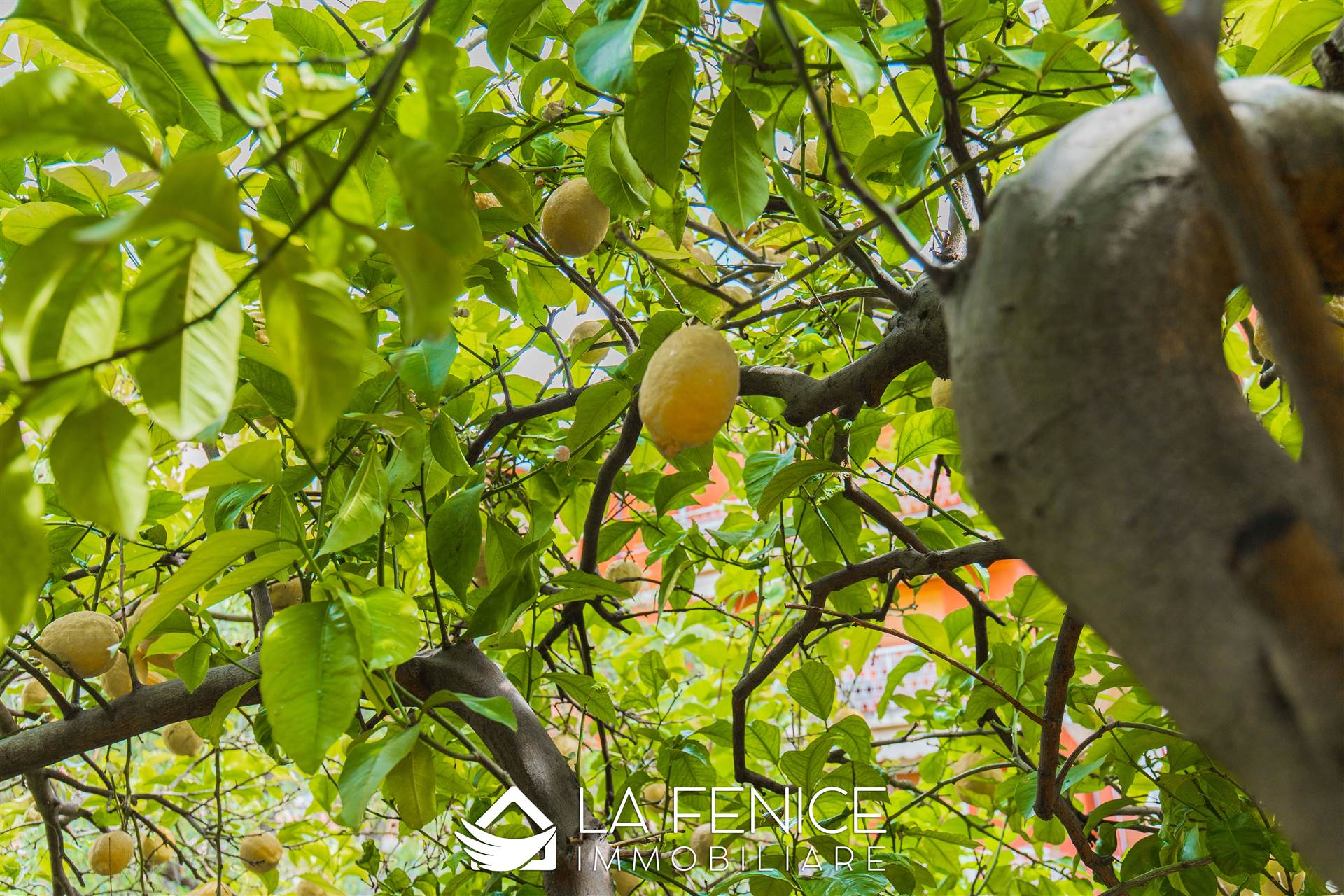 Villa bifamiliare a Lerici con 5 locali di 125 m2 - Foto