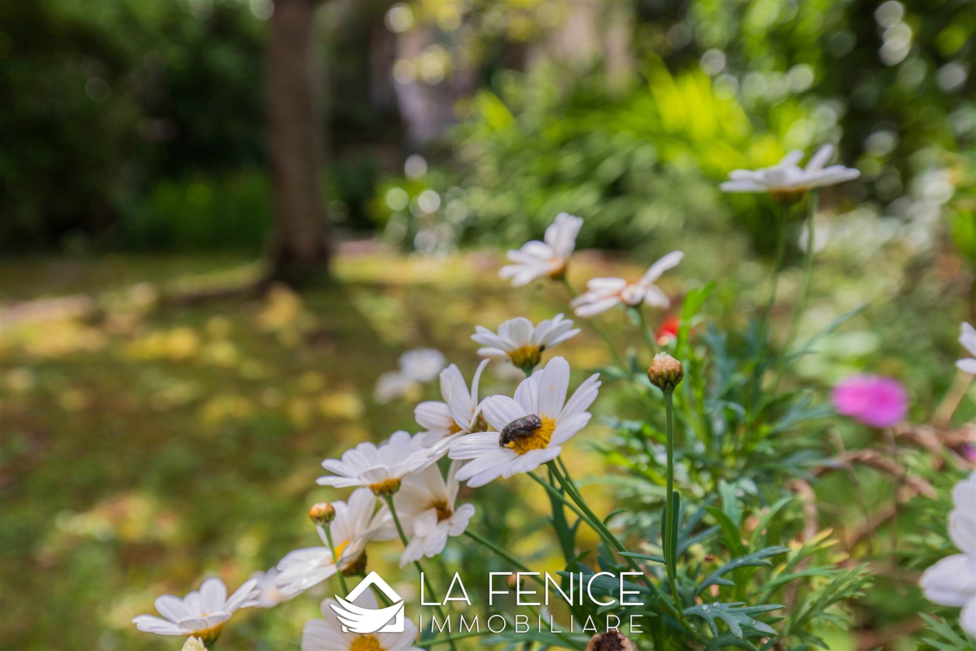 Villa bifamiliare a Lerici con 5 locali di 125 m2 - Foto