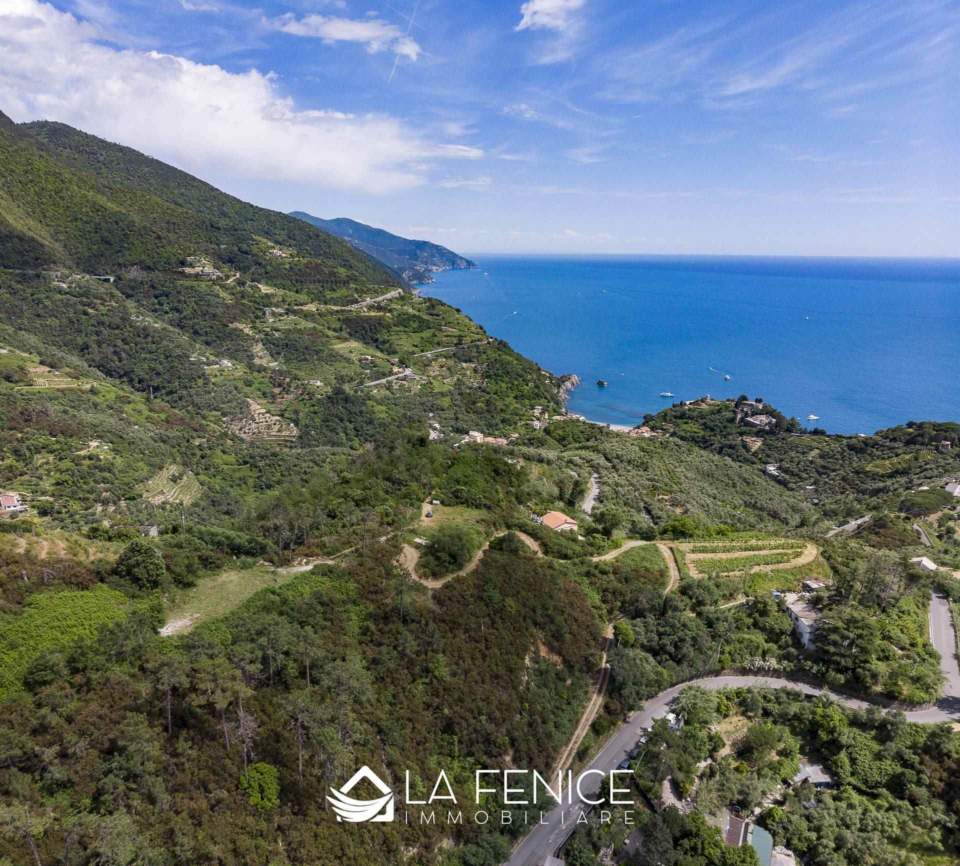 Villa a Monterosso al mare con 6 locali di 40 m2 - Foto