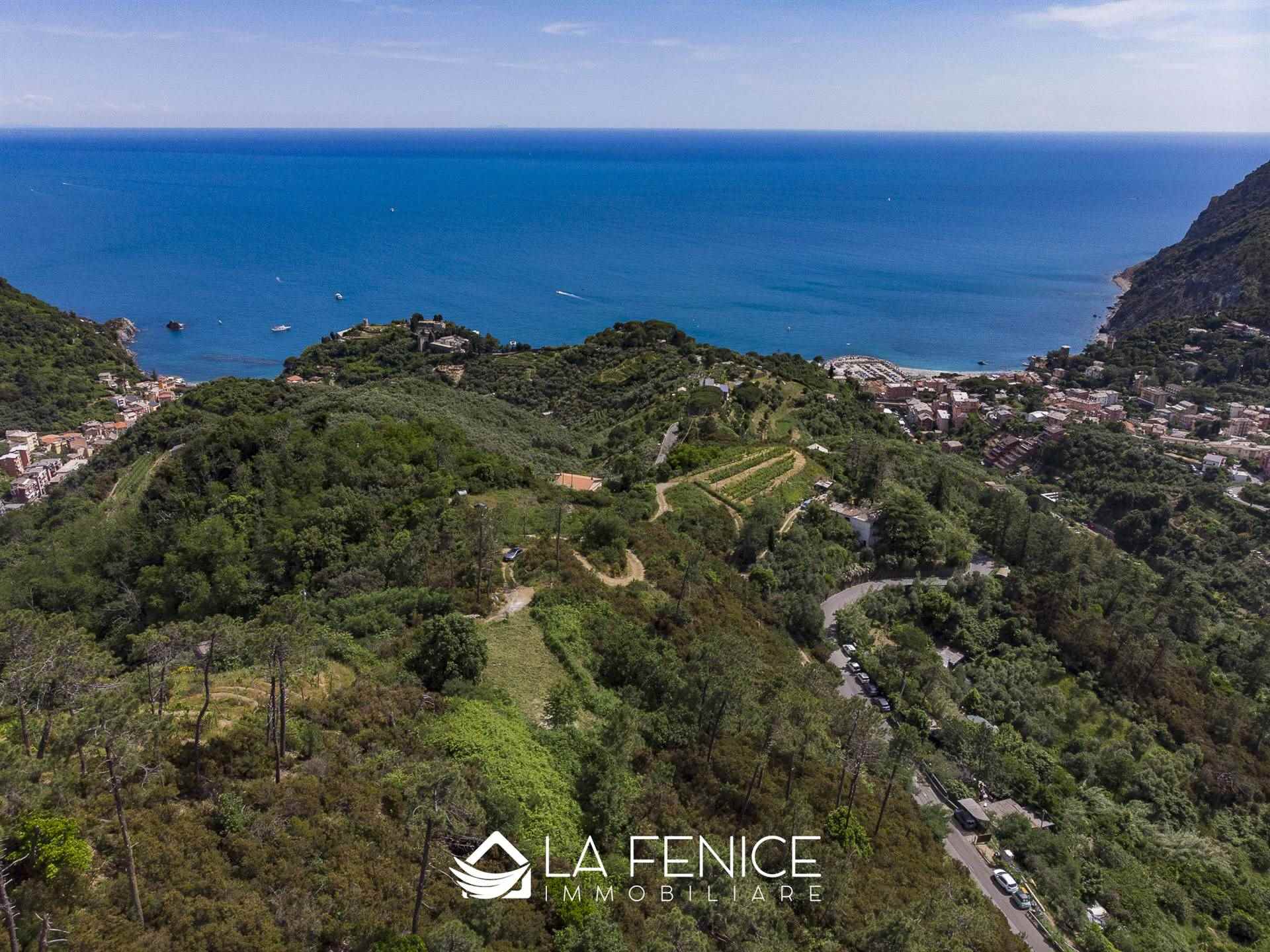 Villa a Monterosso al mare con 6 locali di 40 m2 - Foto
