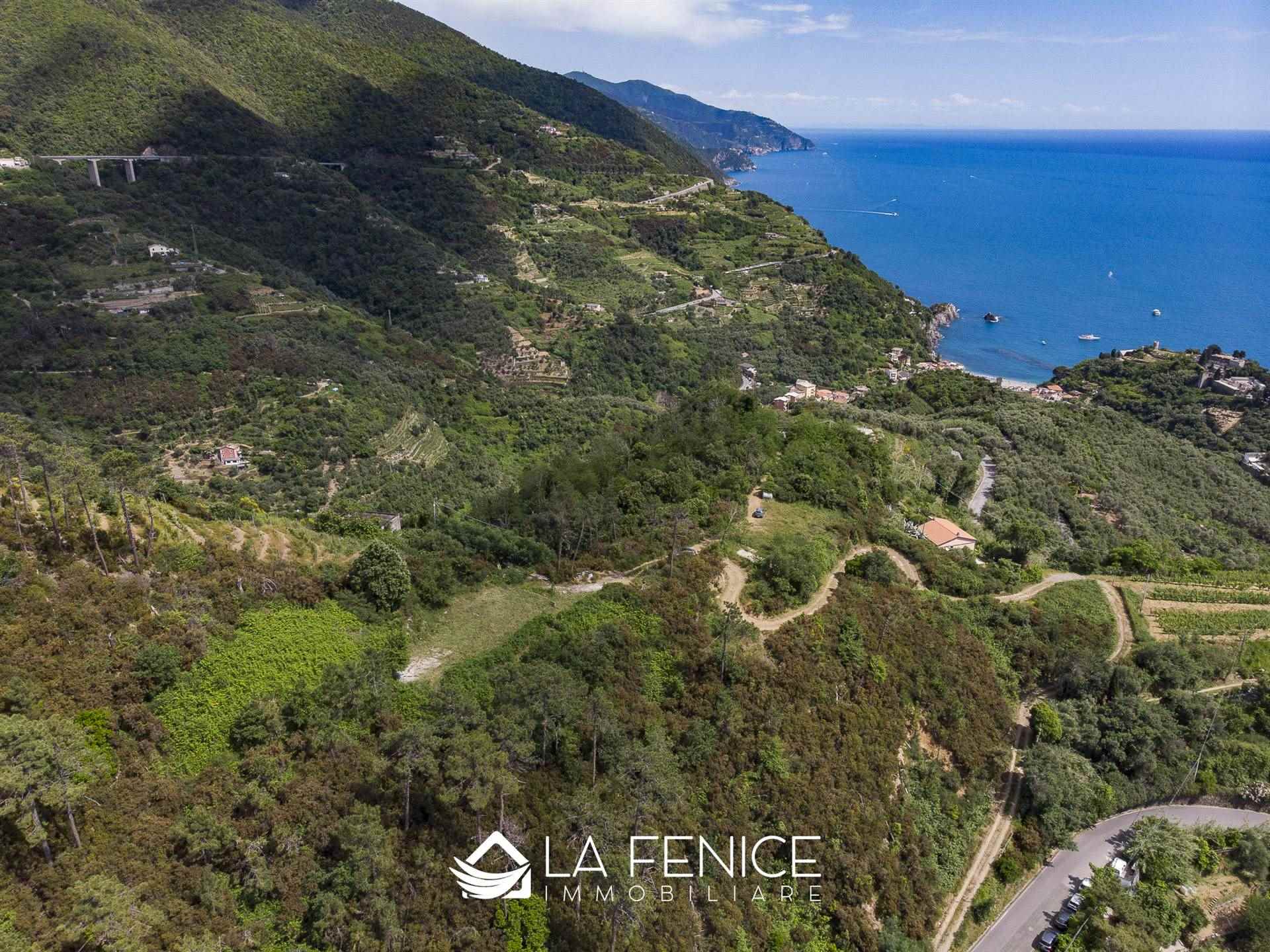 Villa a Monterosso al mare con 6 locali di 40 m2 - Foto